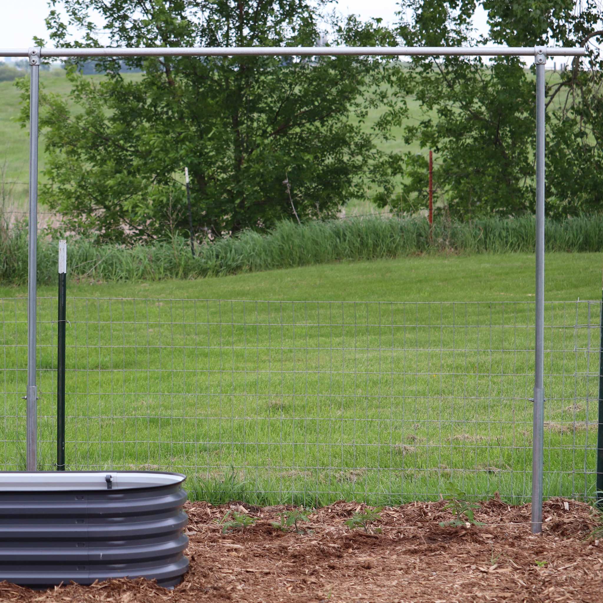bootstrap-farmer-diy-1-3-8-heavy-duty-tomato-trellis-kit image 1
