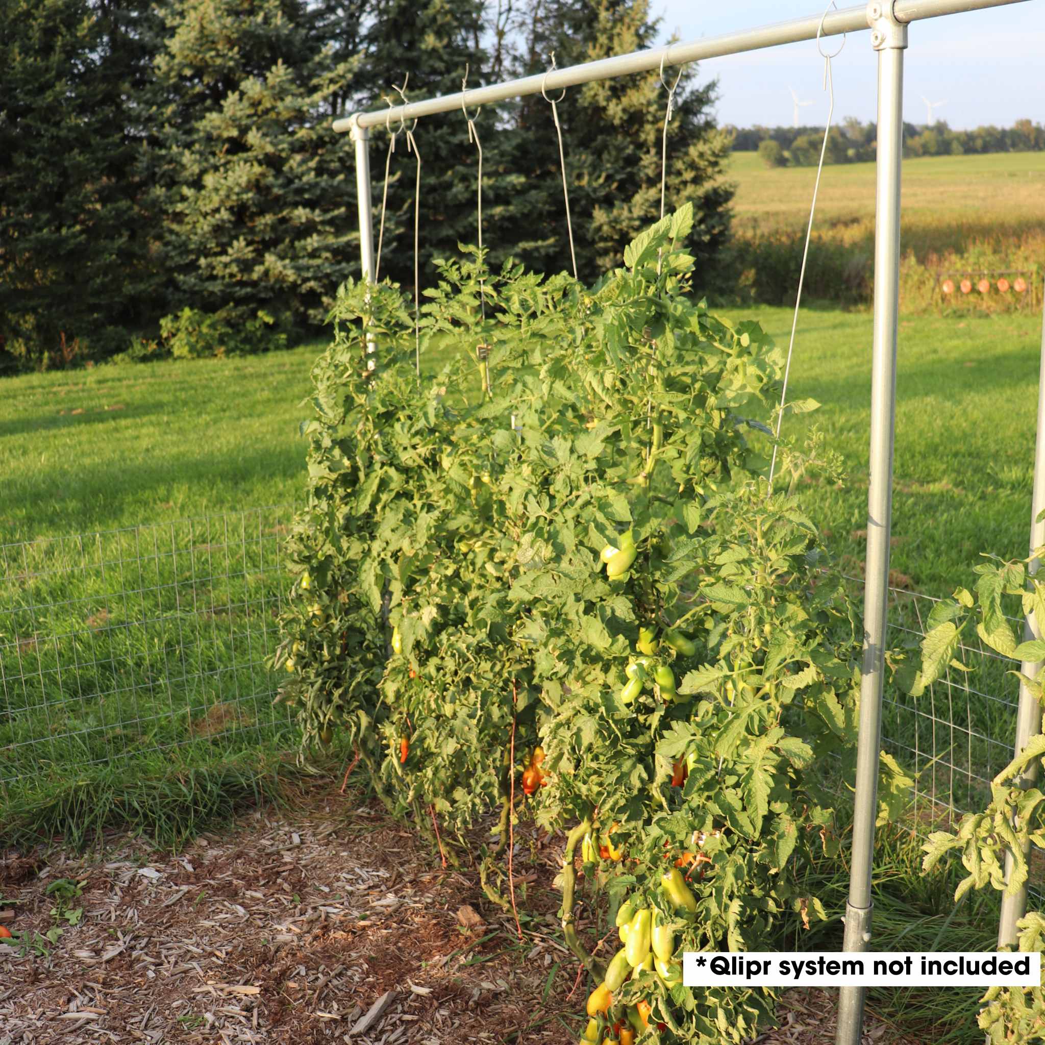 bootstrap-farmer-diy-1-3-8-heavy-duty-tomato-trellis-kit image 2