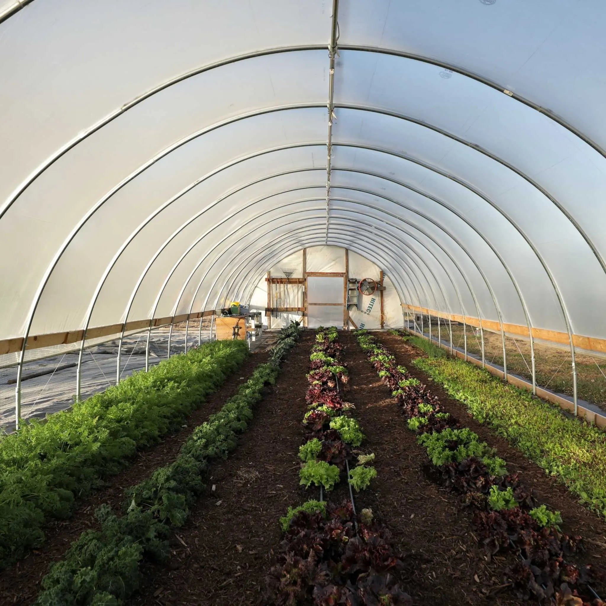 bootstrap-farmer-diy-greenhouse-kit-12-ft-wide-hoop-house-length-options-with-lo image 1