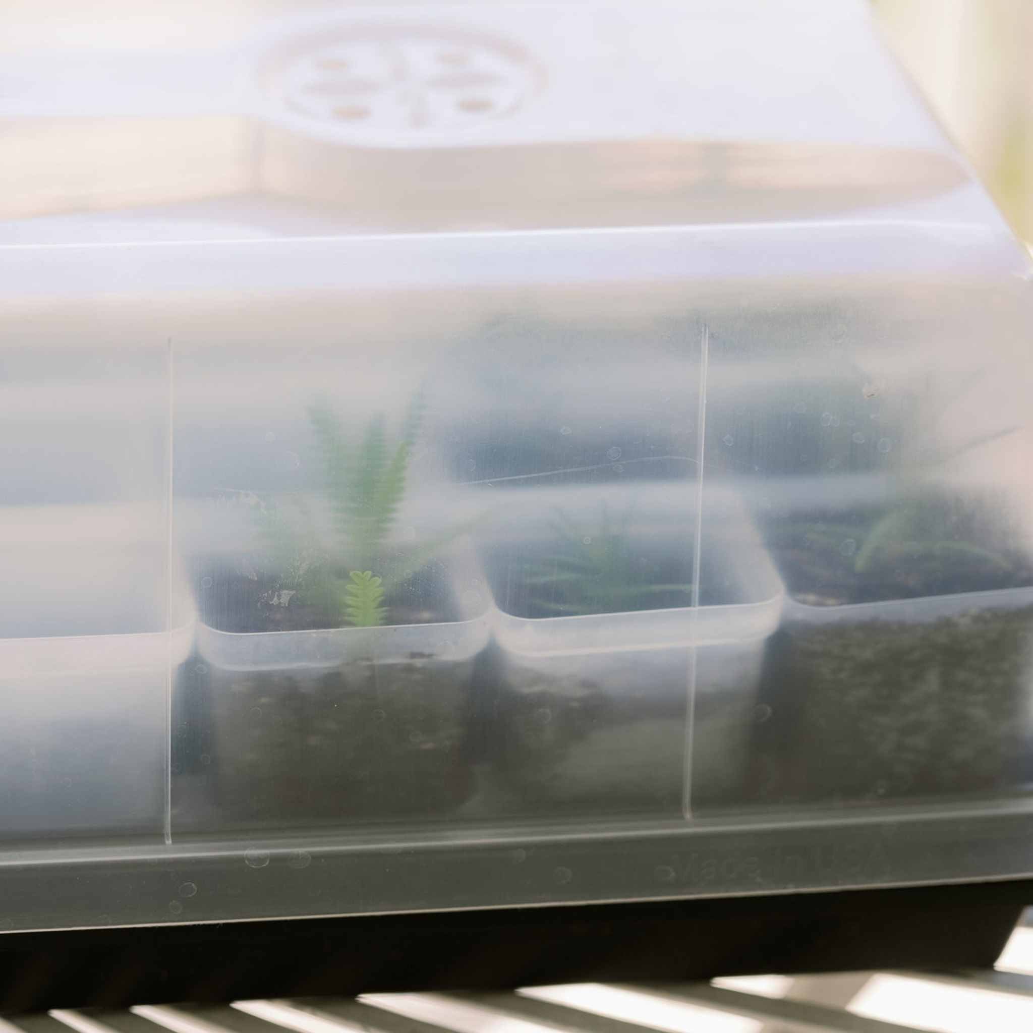 bootstrap-farmer-propagation-kit-with-trays-domes-pots image 5