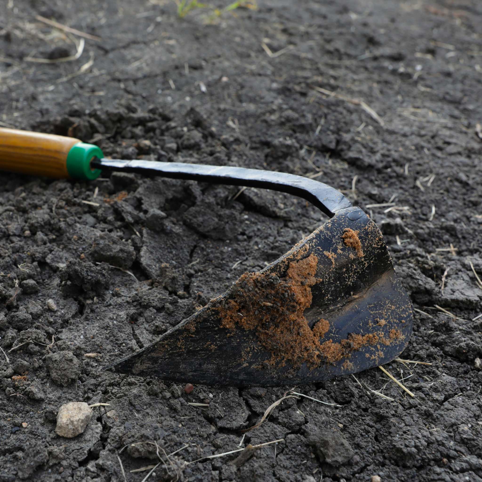 bootstrap-farmer-ez-digger-korean-triangle-blade-short-handle-garden-tool image 4