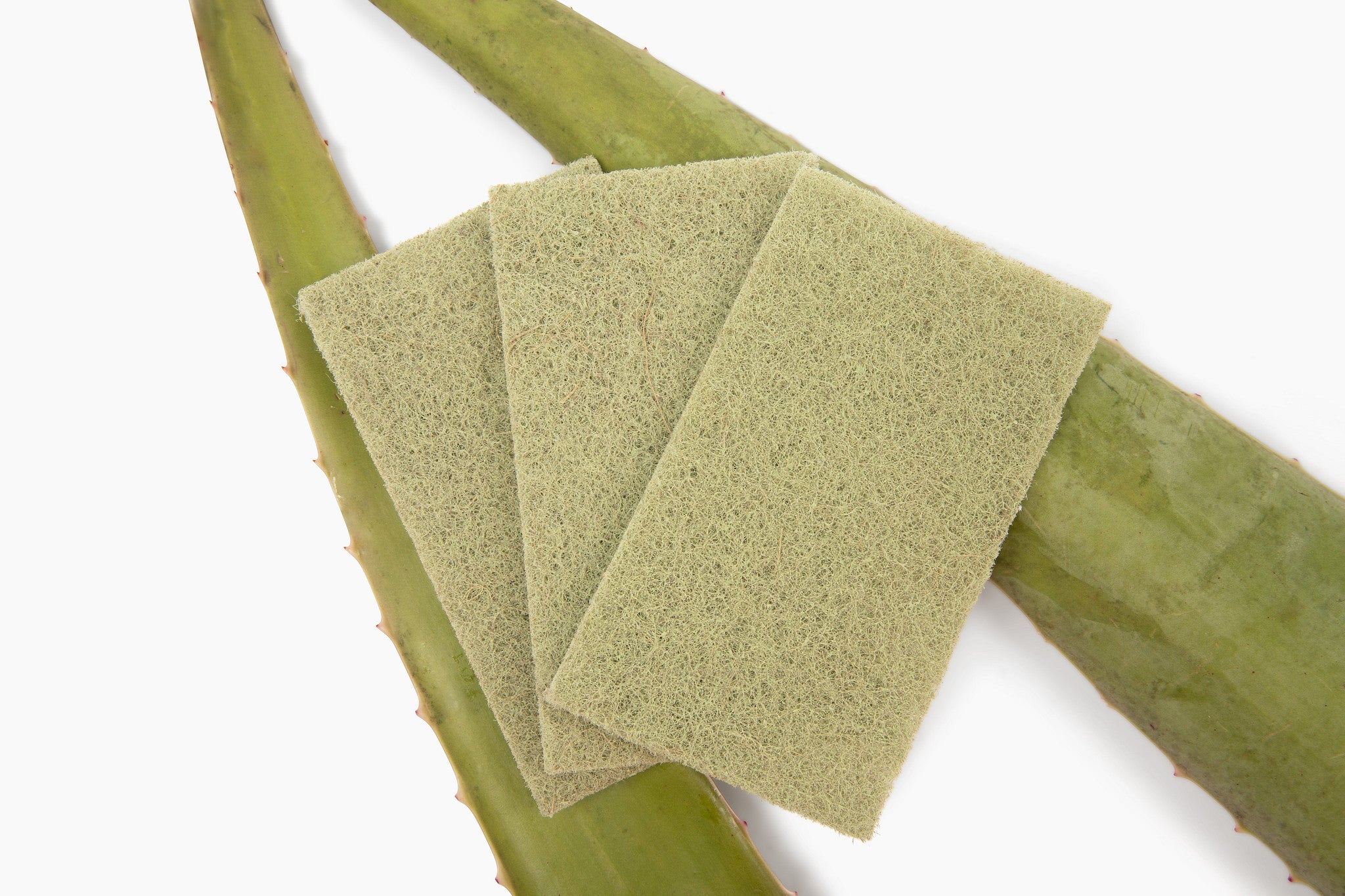 full-circle-agave-leaf-scour-pad image 4