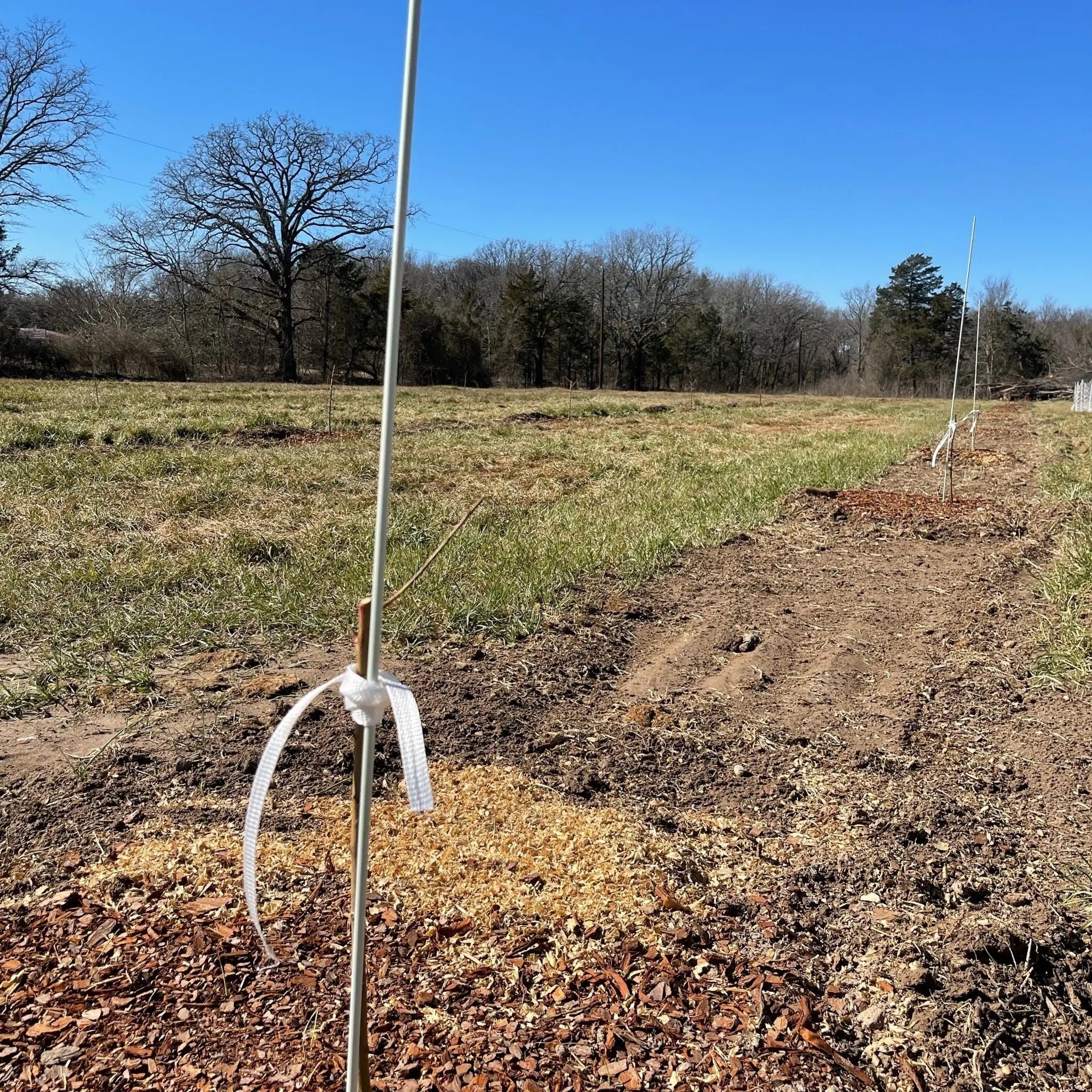 bootstrap-farmer-72-inch-fiberglass-plant-support-poles-8mm image 3