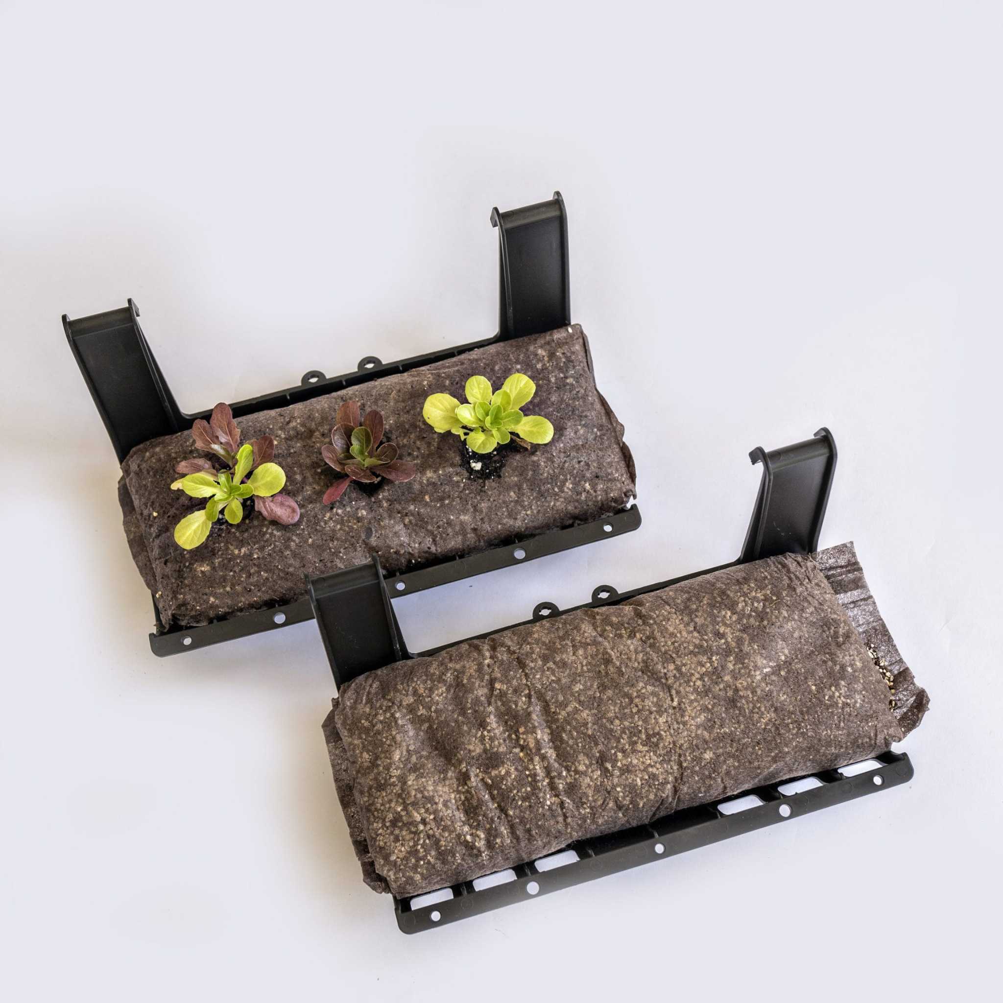 bootstrap-farmer-filled-ellepot-pouches-for-vertical-gardens-5-x12-compostable image 3
