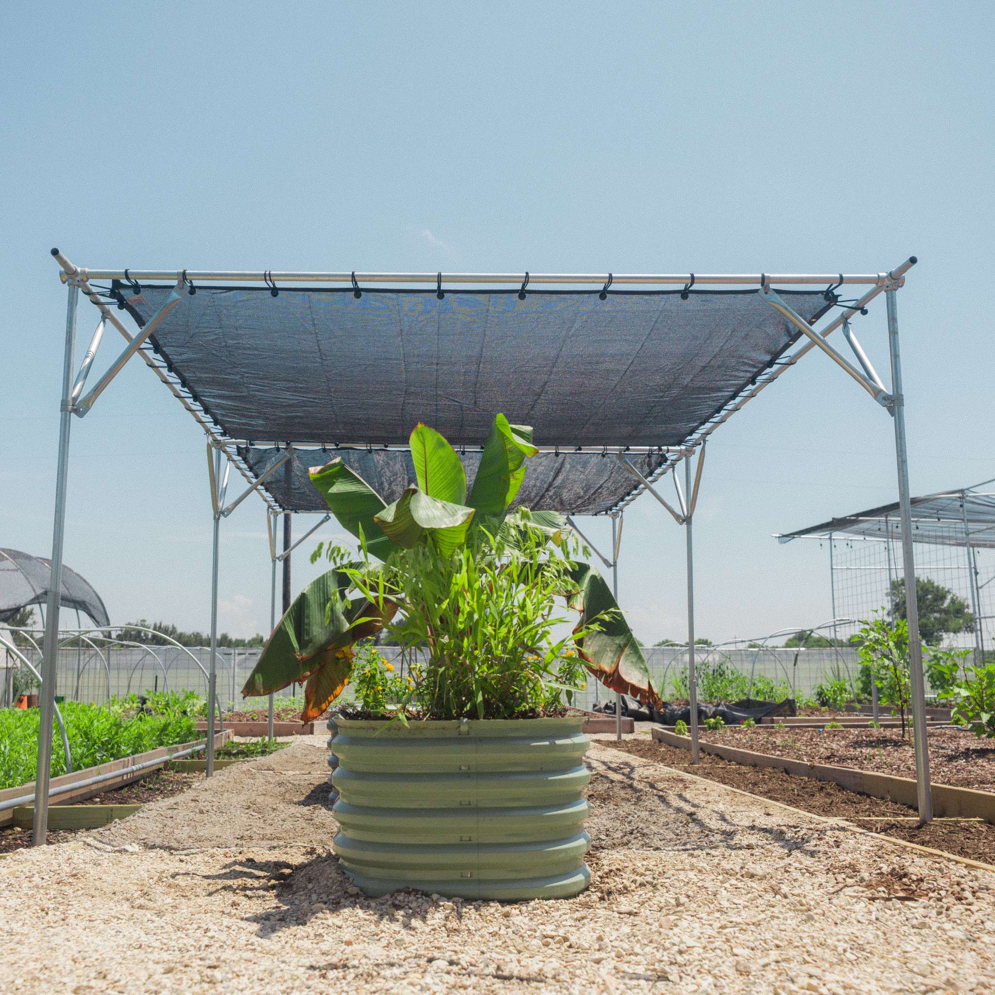 bootstrap-farmer-diy-shade-structure-kit-with-50-shade-cloth-for-gardens-and-liv image 2