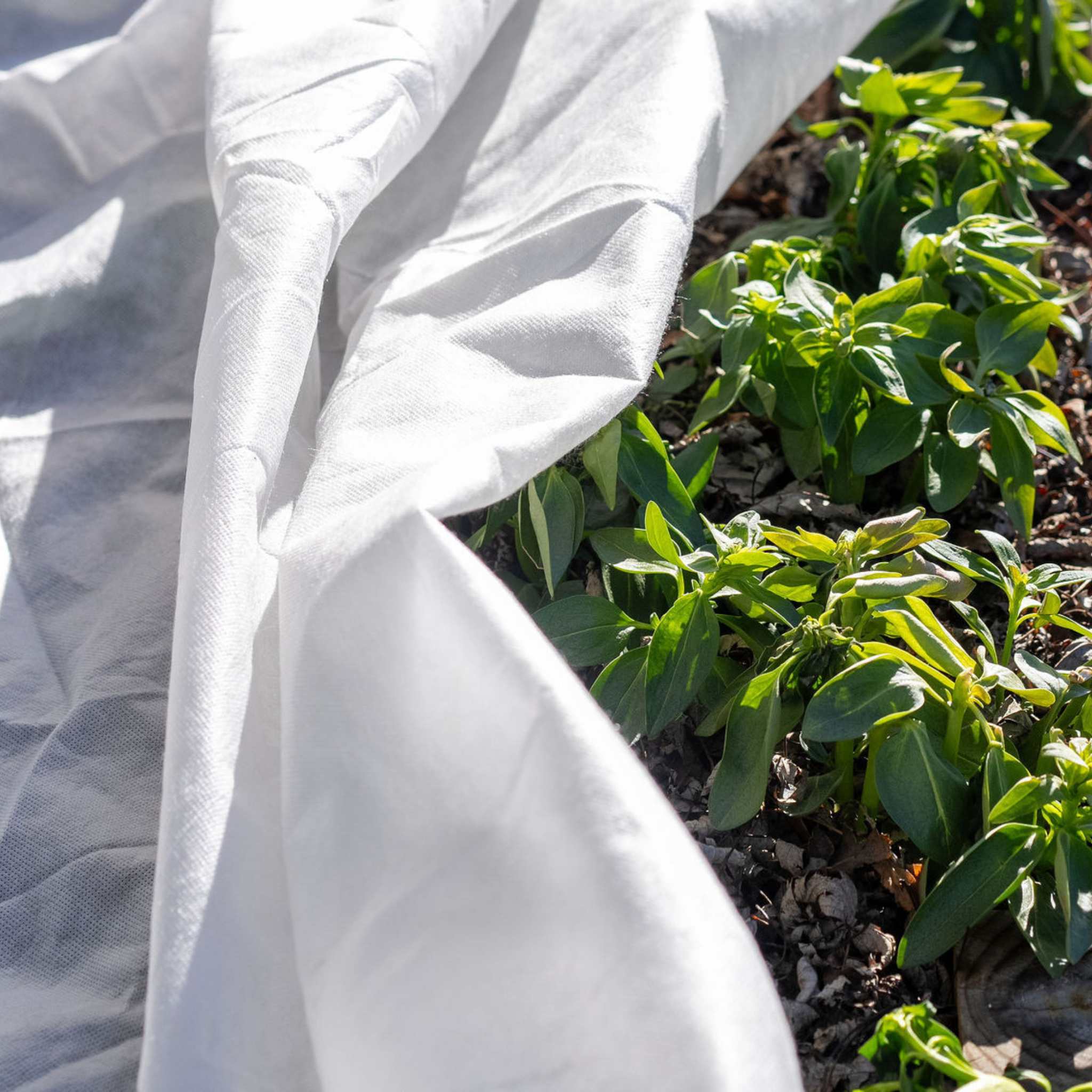 bootstrap-farmer-10ft-wide-frost-blankets image 4