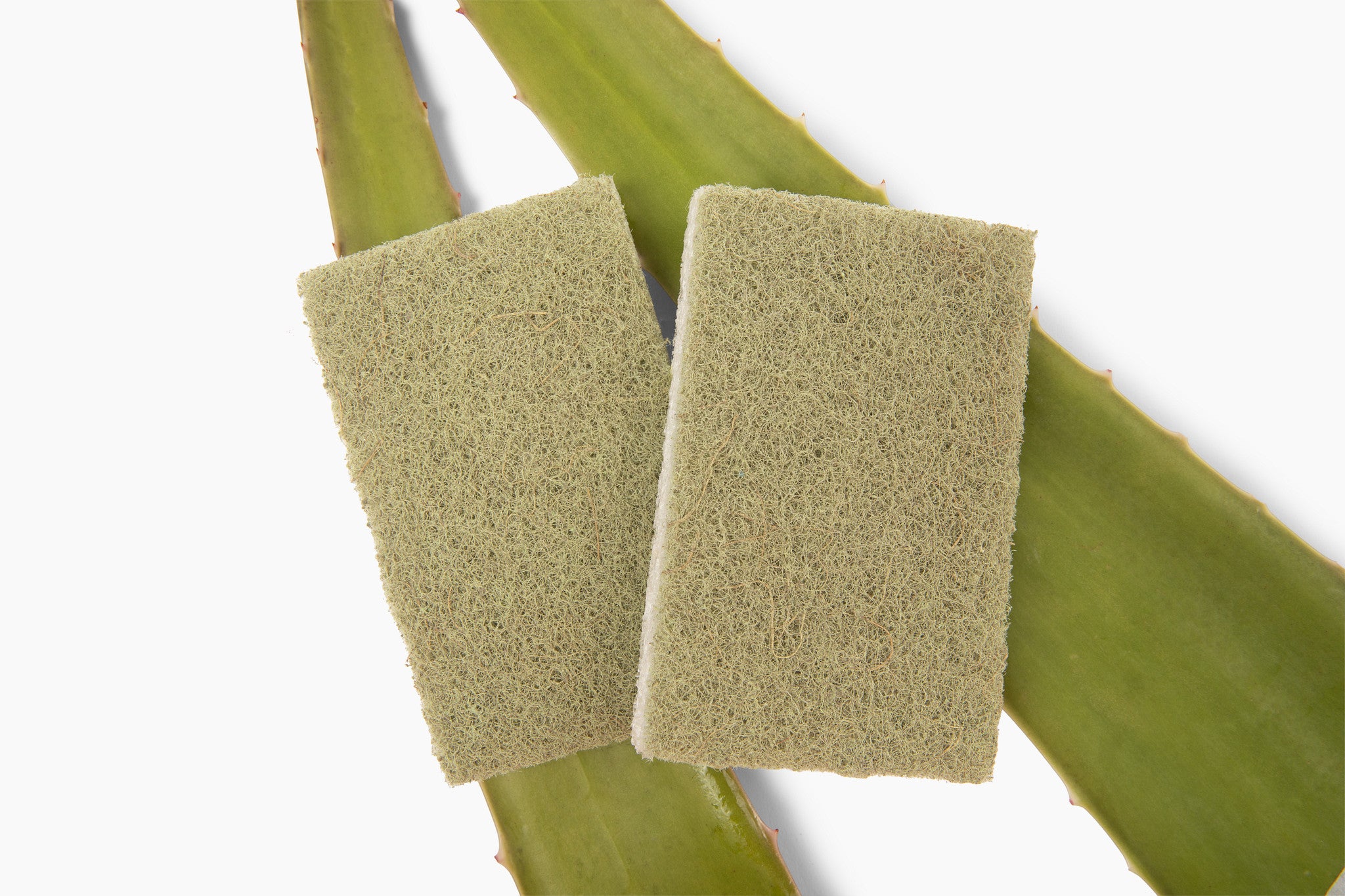 full-circle-agave-leaf-scrubber-sponge image 1