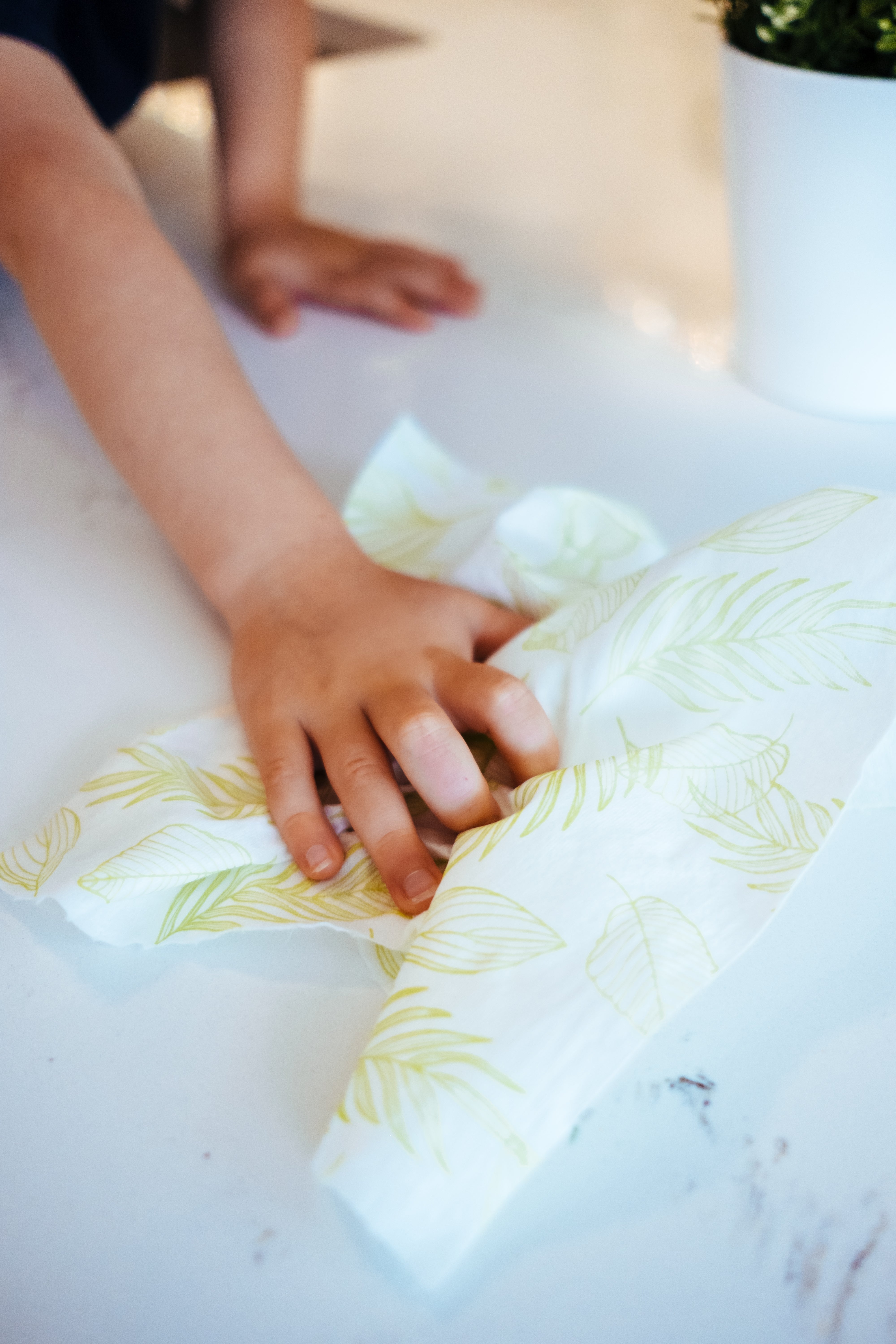 full-circle-tough-sheet-reusable-plant-towels image 4