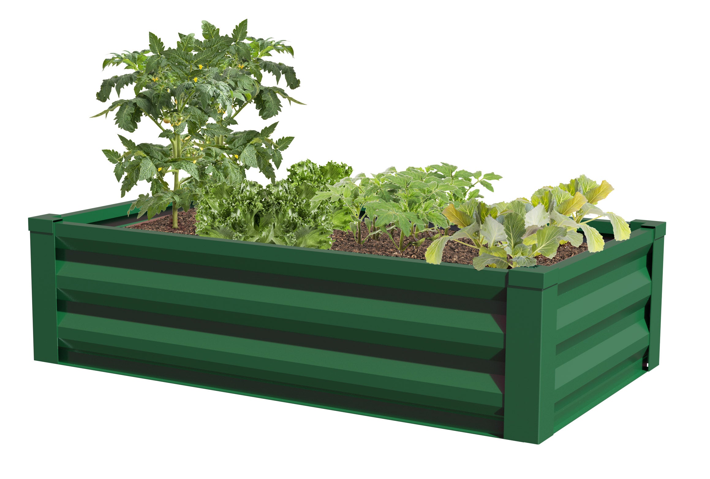 greenes-fence-metal-raised-garden-bed-48-in-x-24-in-rcm image 7