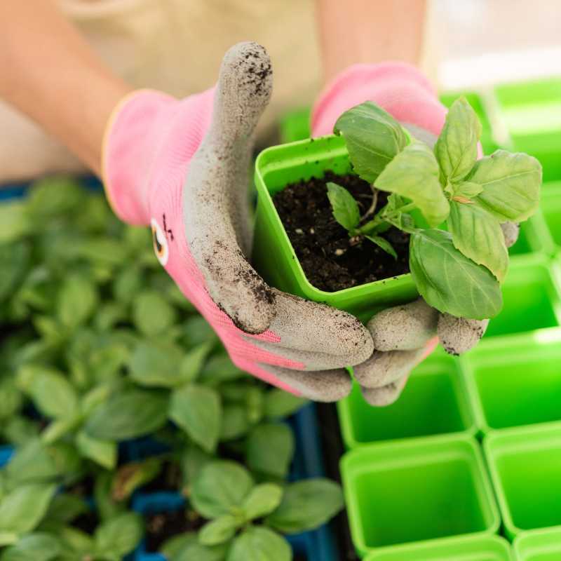 bootstrap-farmer-classroom-seed-starting-bundle-complete-school-garden-kit image 8