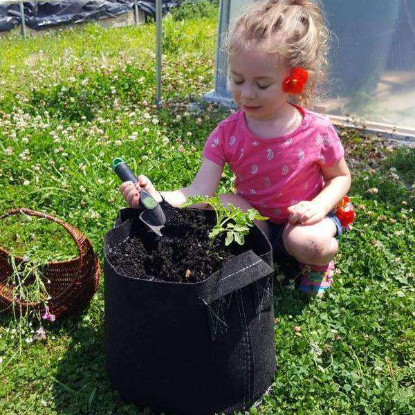 bootstrap-farmer-fabric-grow-bags-2-to-50-gallon-black-food-safe-bpa-free-with-h image 2