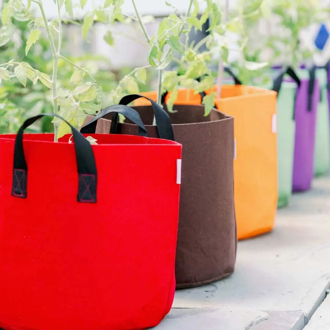 bootstrap-farmer-7-gallon-colored-fabric-grow-bags image 8