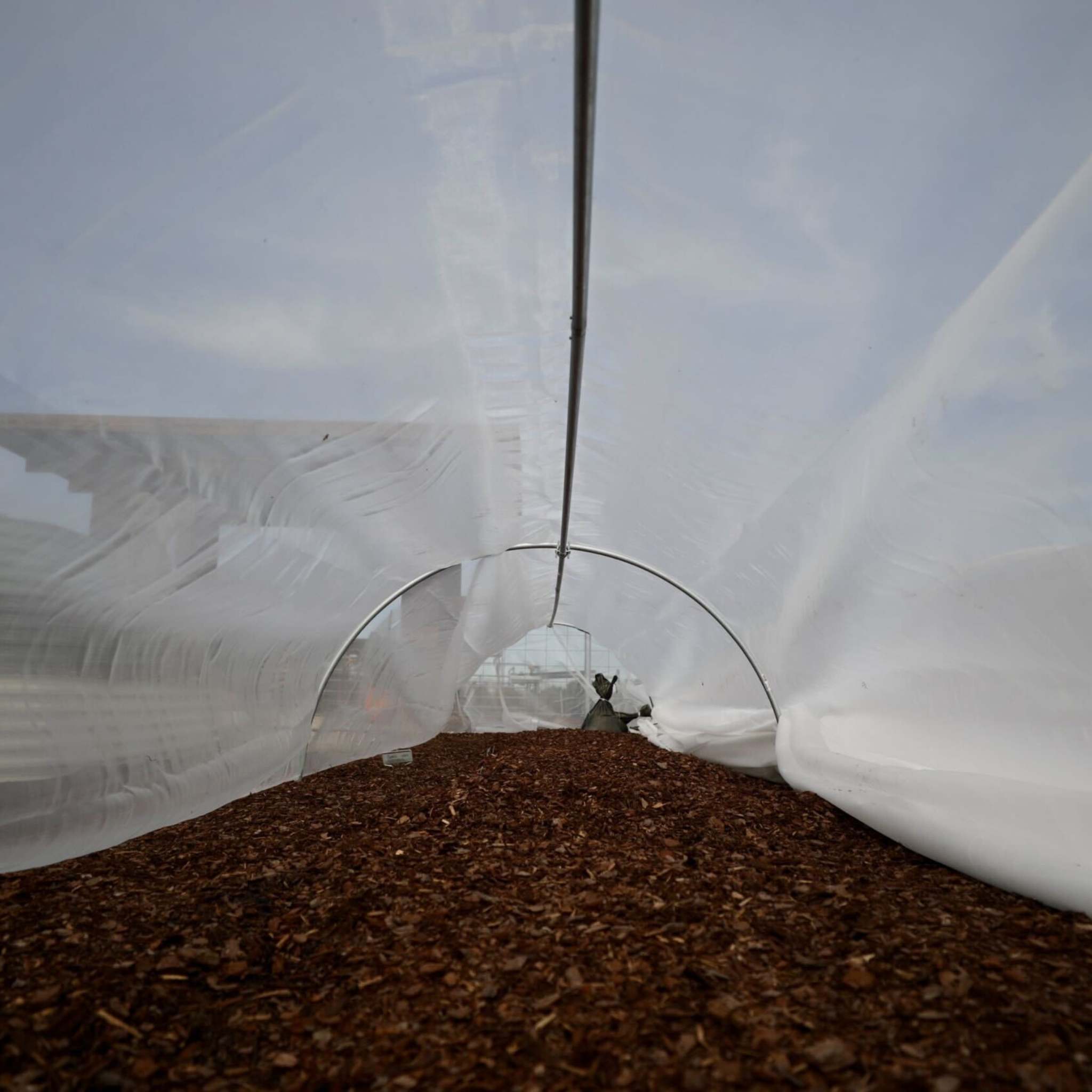 bootstrap-farmer-heavy-duty-insect-netting-120gsm-0-40mm-x-0-25mm-mesh-high-pest image 3