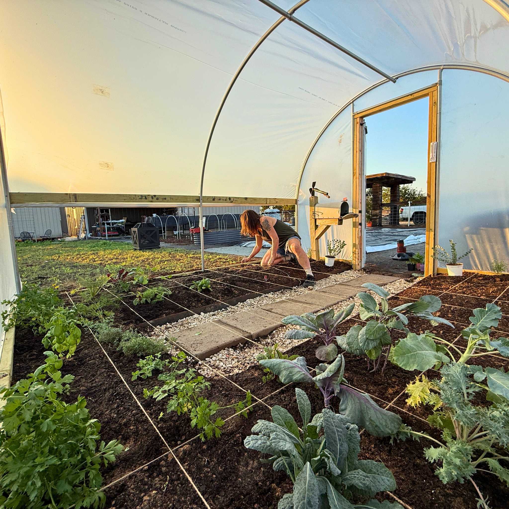 bootstrap-farmer-hobby-greenhouse-kit-10x12-backyard-greenhouse-with-galvanized- image 4