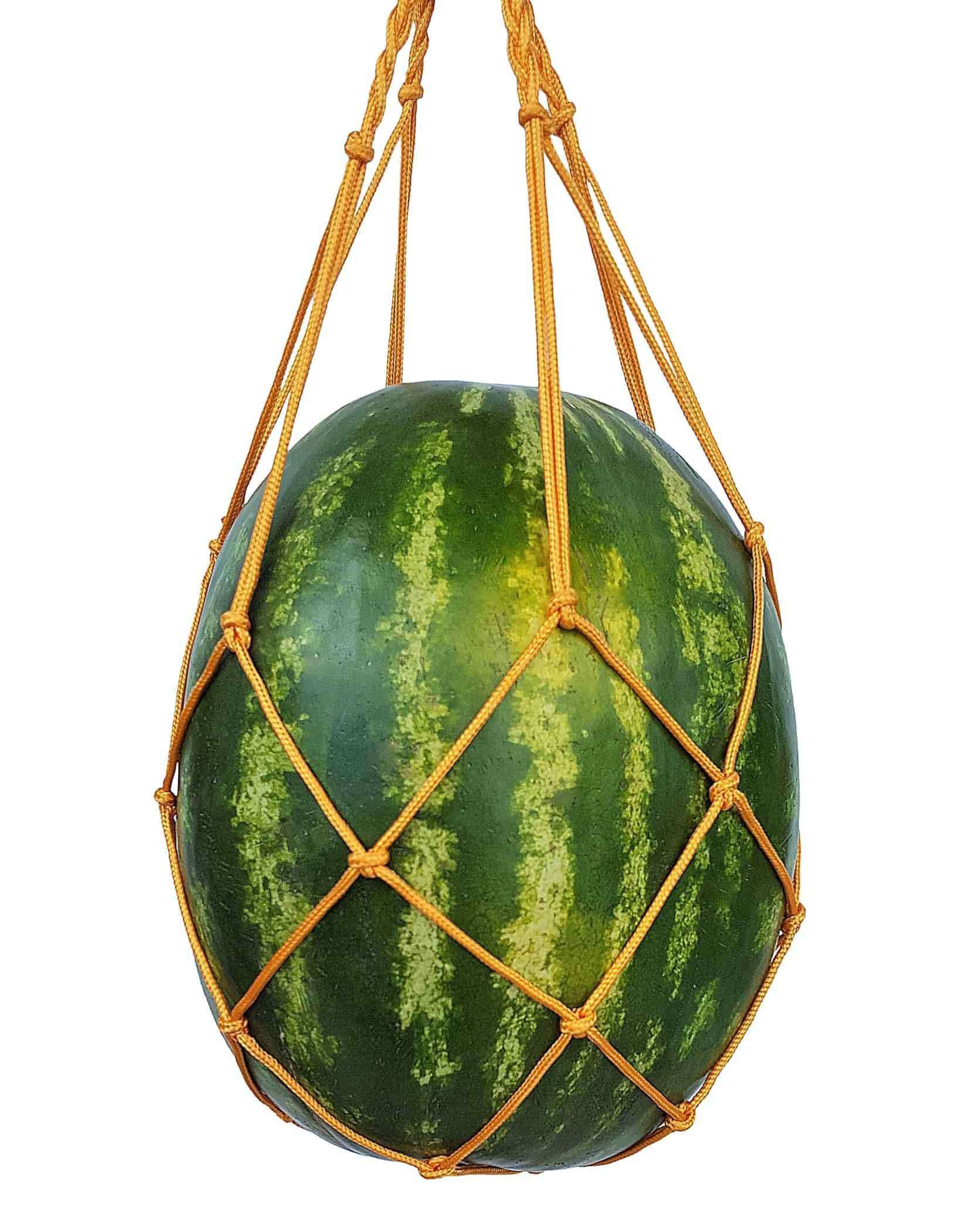 bootstrap-farmer-melon-cradles-sizes-available-for-watermelon-squash-cantaloupe image 2