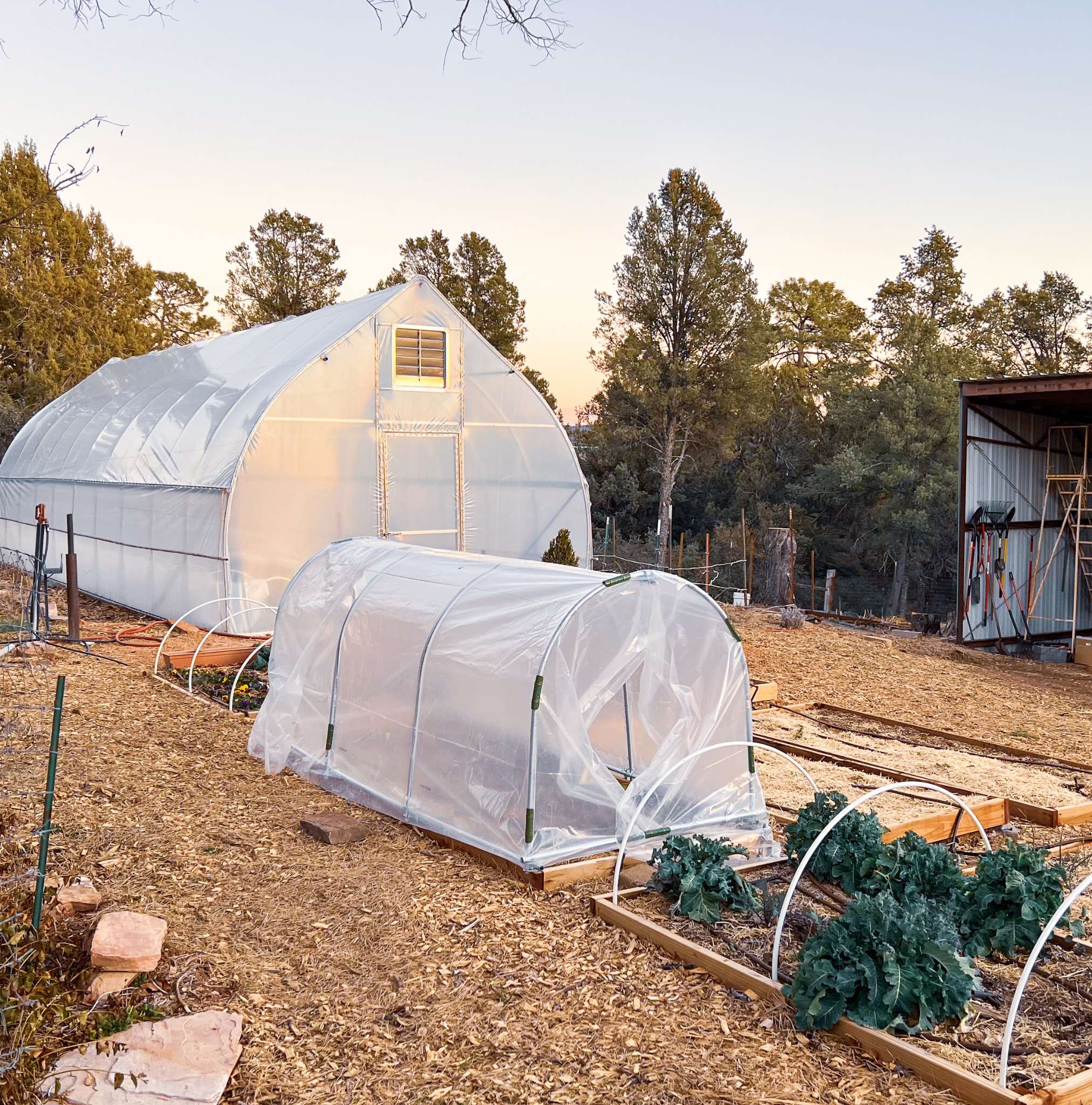 bootstrap-farmer-diy-portable-low-tunnel-kit-hoops-clamps-and-instructions-for-s image 2