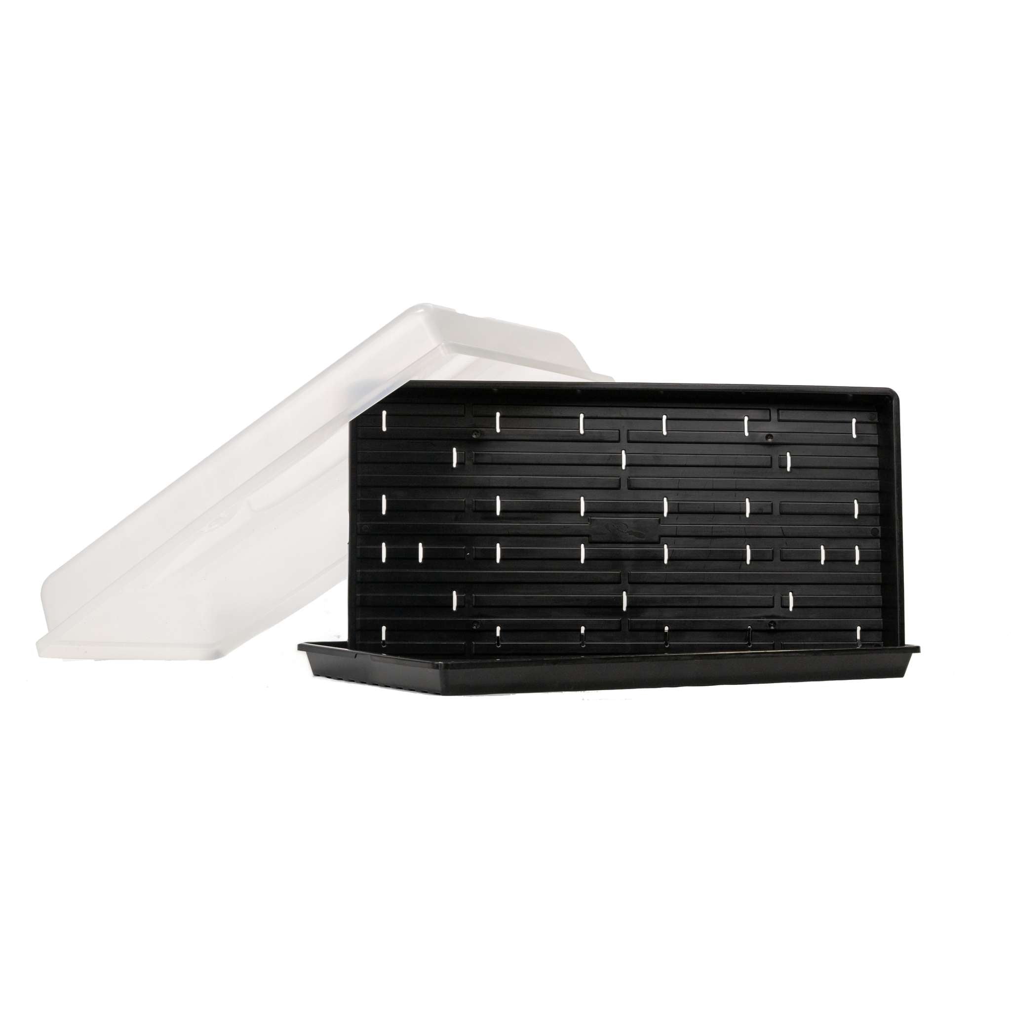 bootstrap-farmer-microgreen-tray-hobby-starter-bundle image 1
