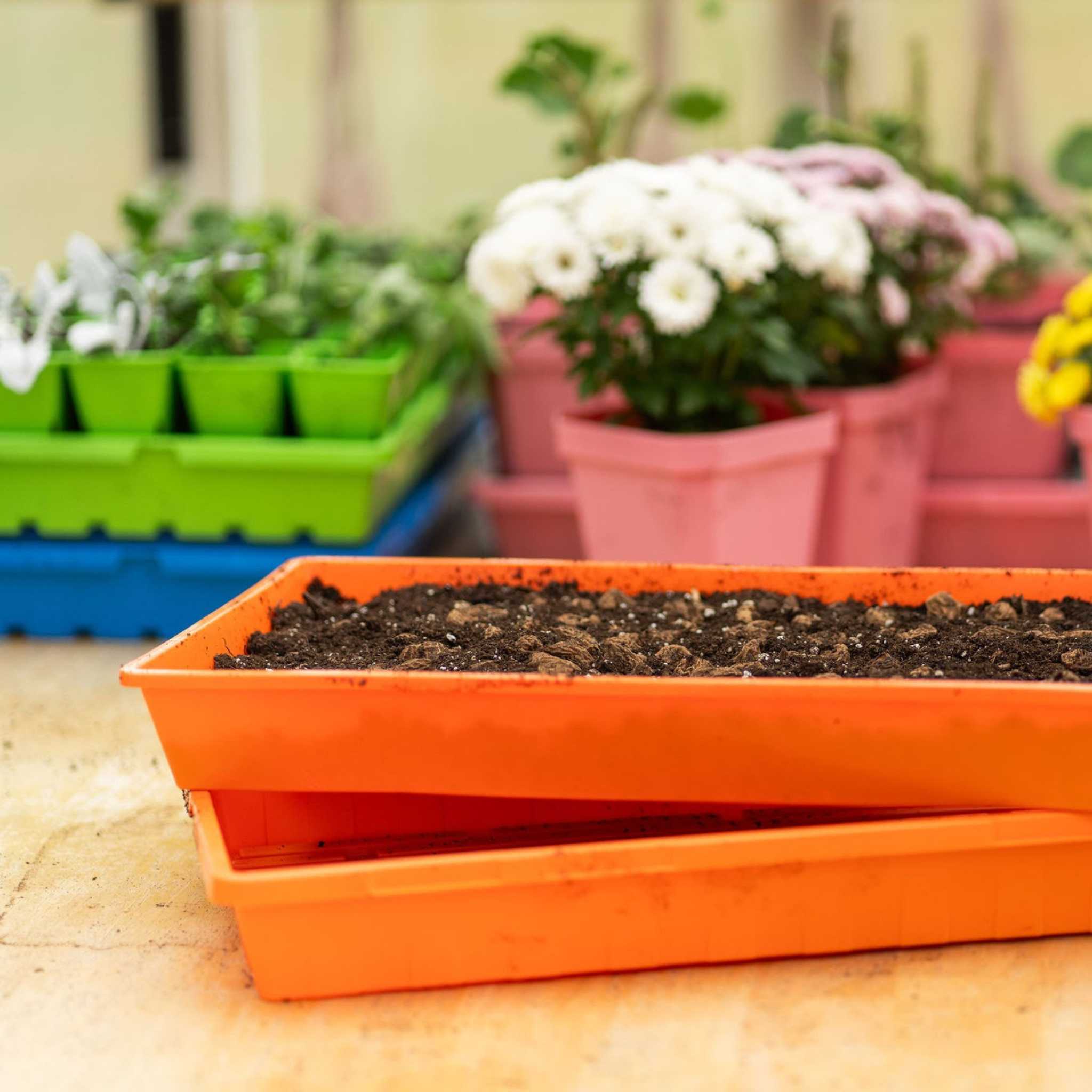 bootstrap-farmer-1020-extra-strength-trays-colors image 8