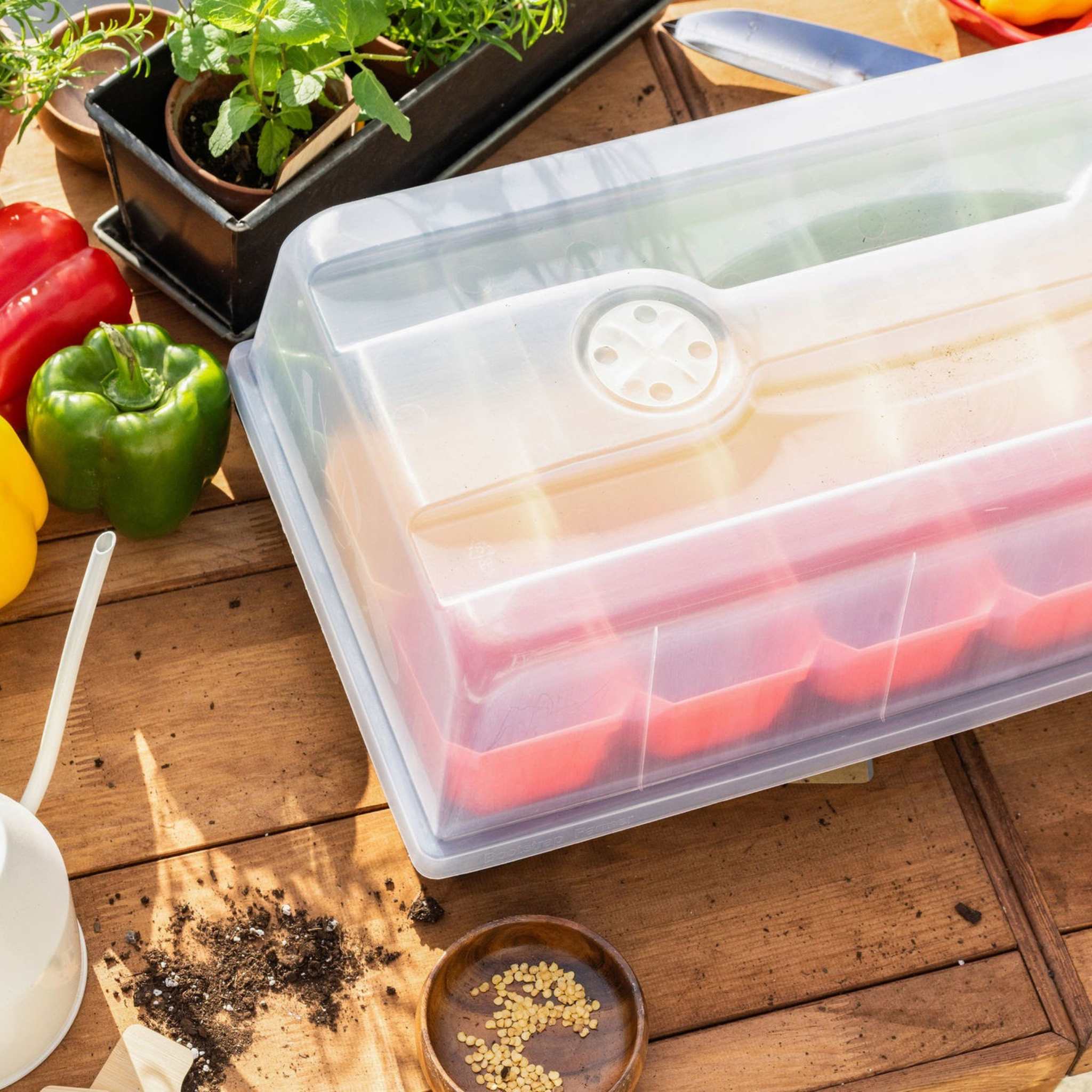 bootstrap-farmer-pepper-geek-starter-kit-complete-pepper-growing-bundle-with-102 image 4