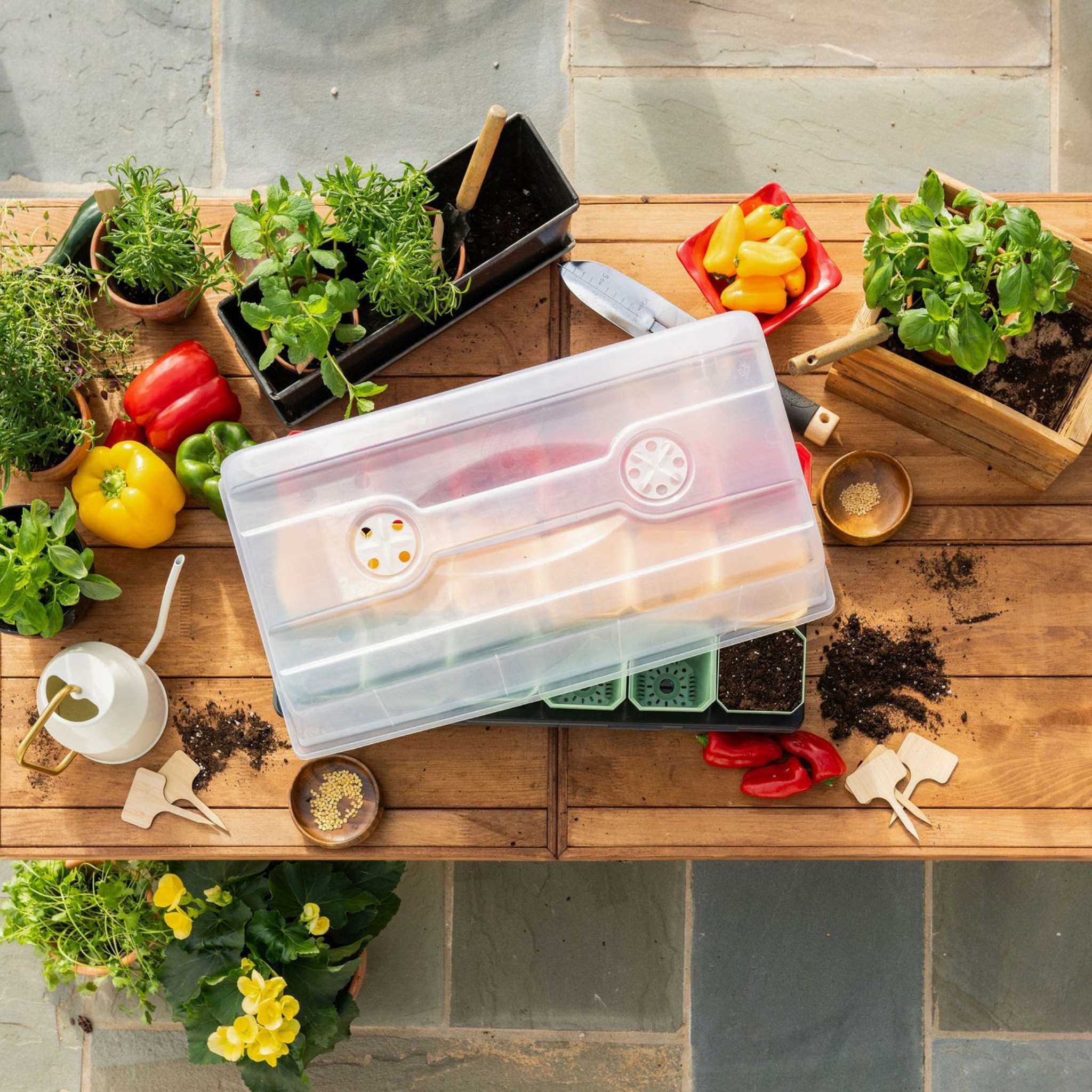 bootstrap-farmer-pepper-geek-starter-kit-complete-pepper-growing-bundle-with-102 image 2