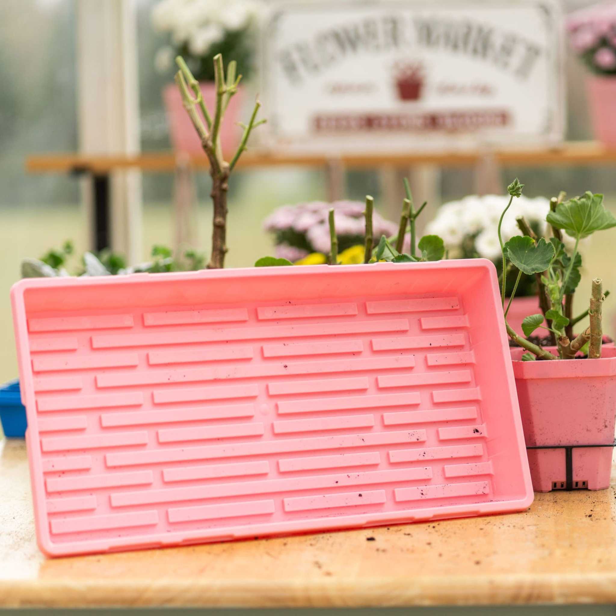 bootstrap-farmer-1020-extra-strength-trays-colors image 3