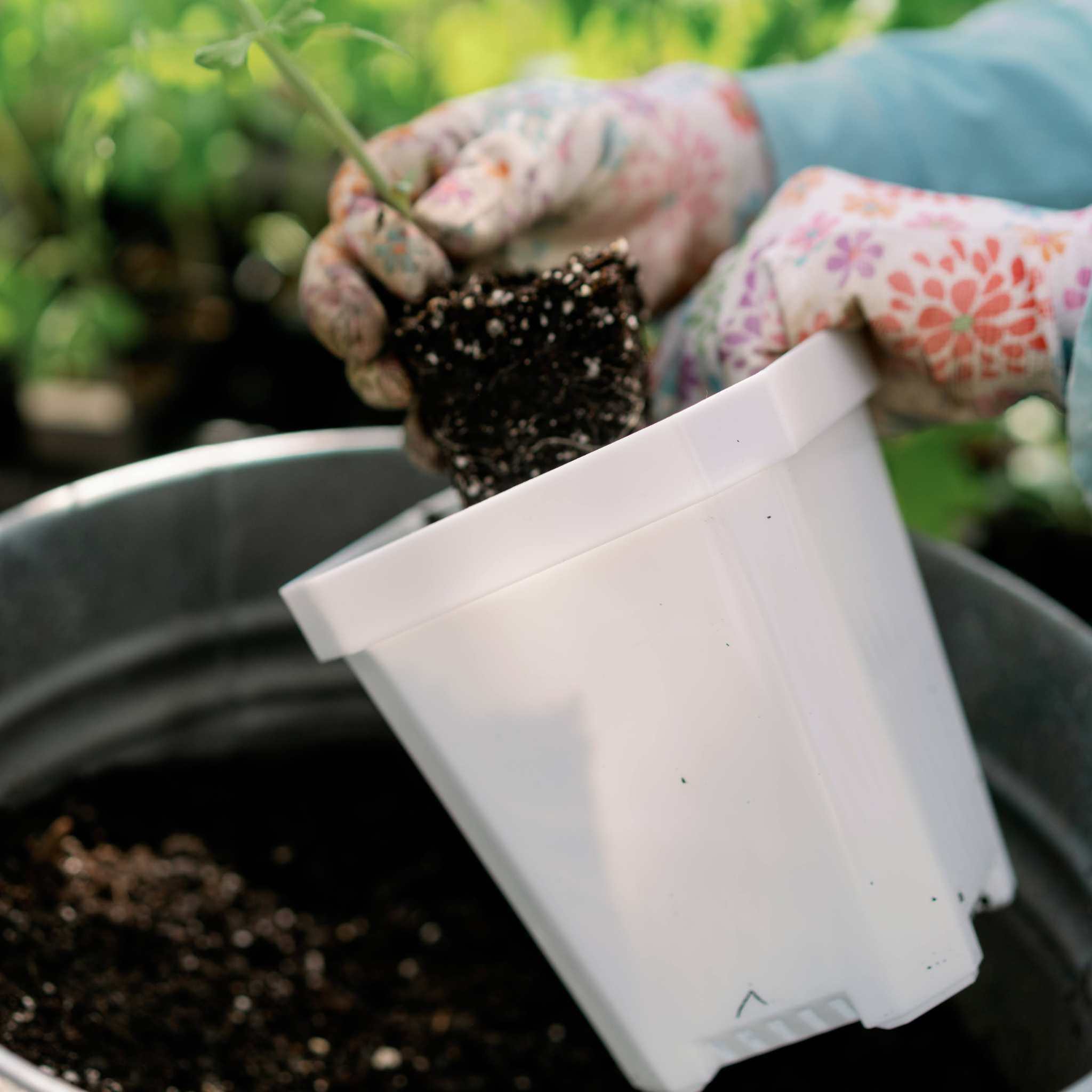 bootstrap-farmer-5-heavy-duty-nursery-pots-with-insert-tray-set-of-6 image 8