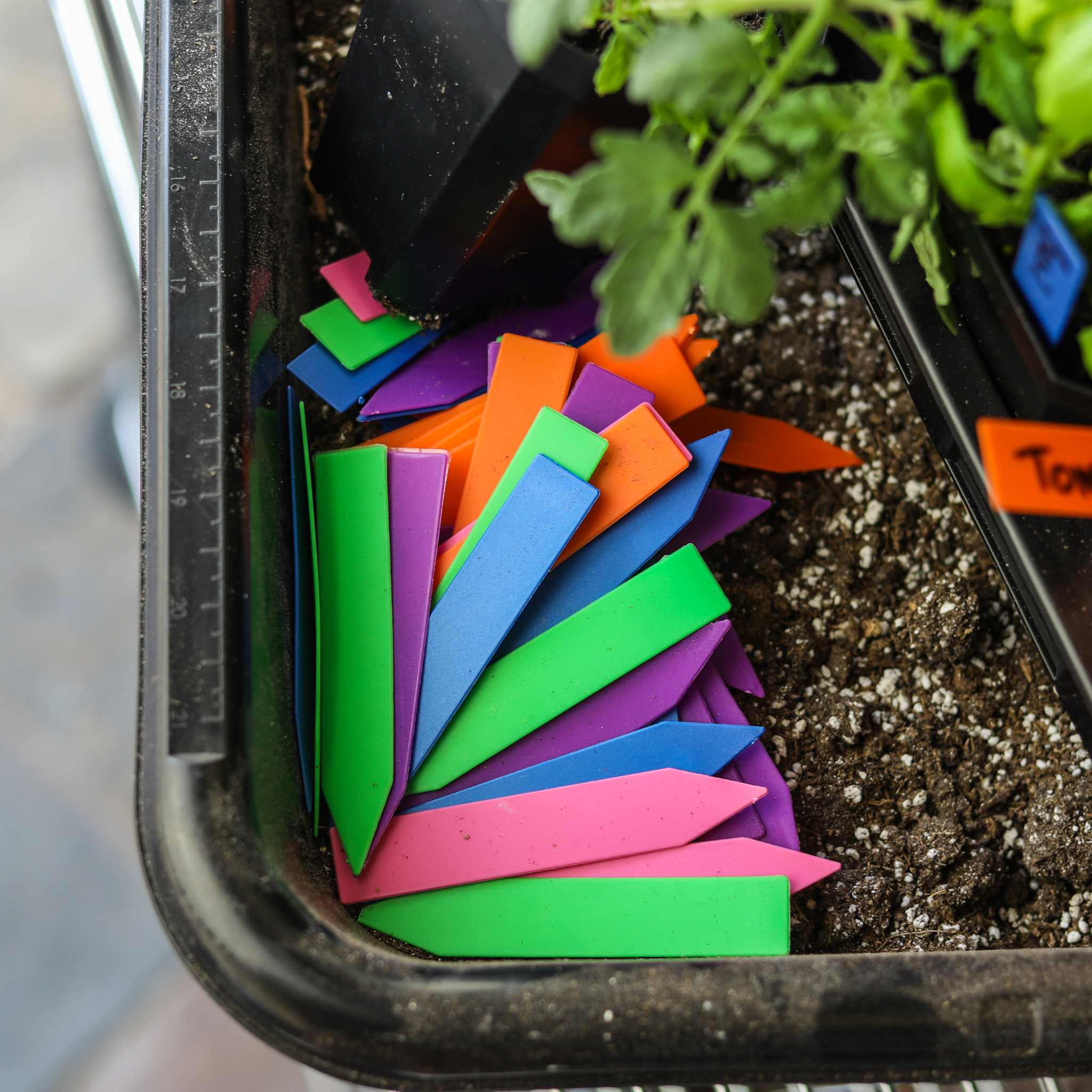 bootstrap-farmer-multi-color-plant-labels-100-count-4-inch-durable-garden-marker image 5