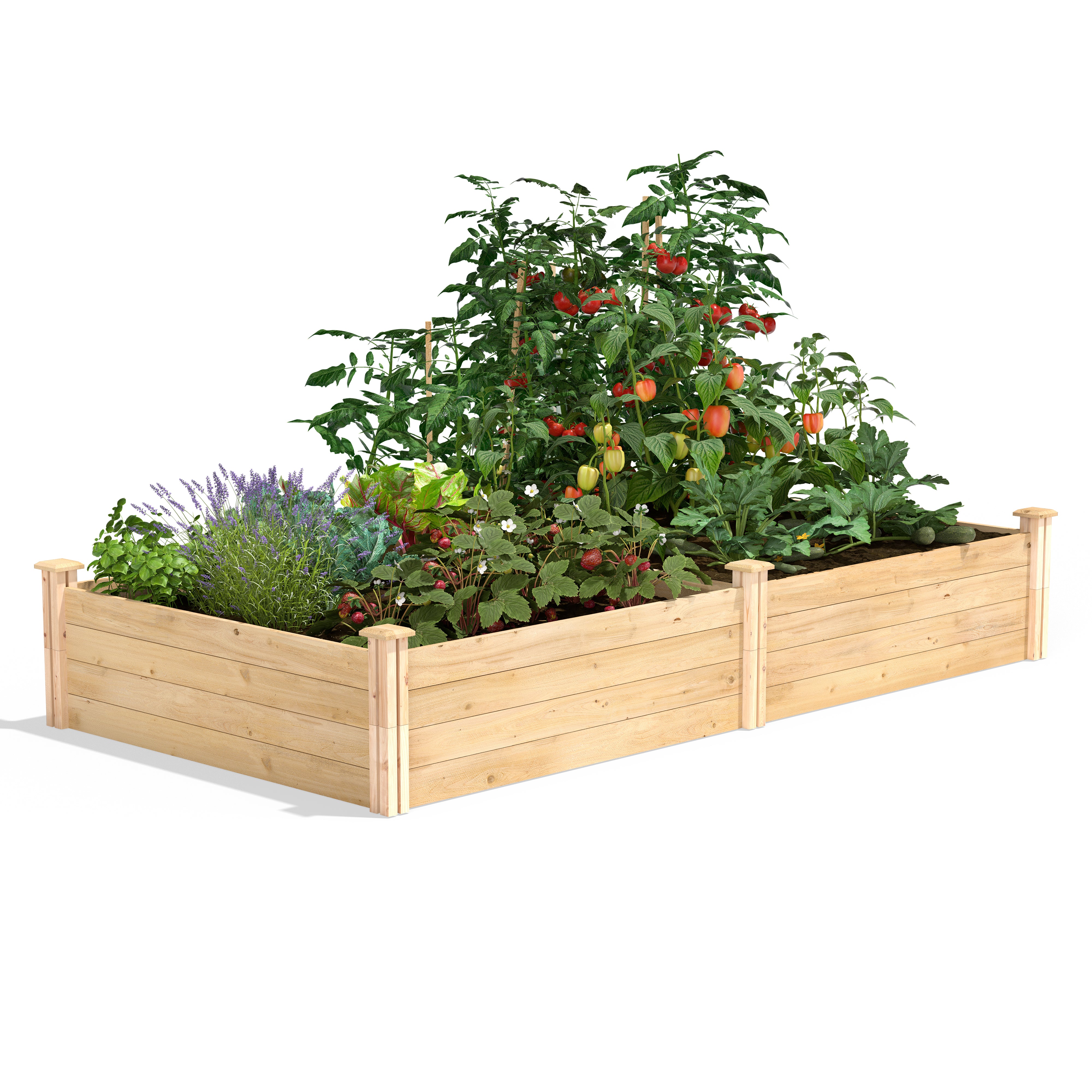 greenes-fence-classic-cedar-raised-garden-bed-4-ft-x-8-ft-x-14-in-rc12s28b-c image 1