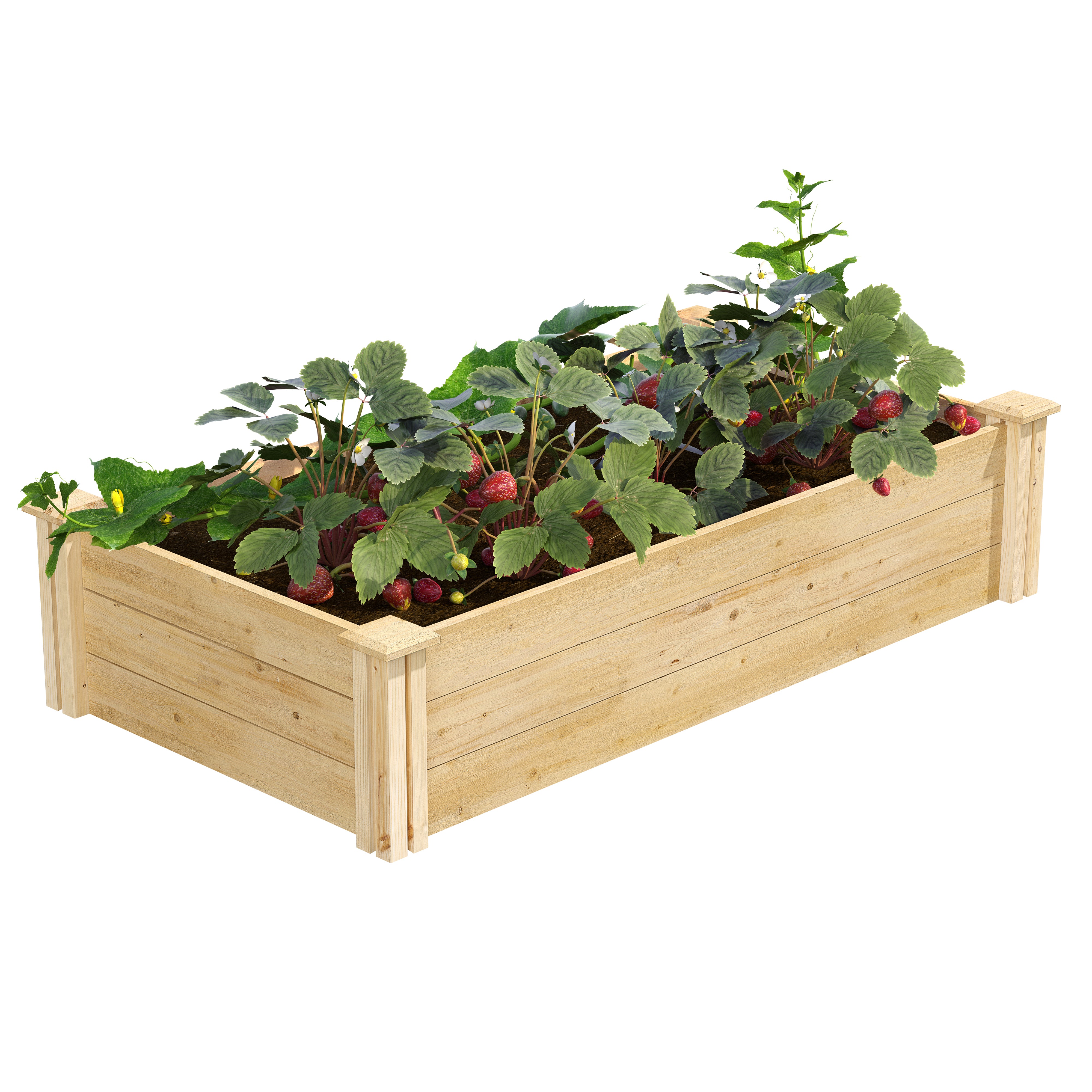 greenes-fence-premium-cedar-raised-garden-bed-2-ft-x-4-ft-x-10-5-in-3-4-in-thick image 1