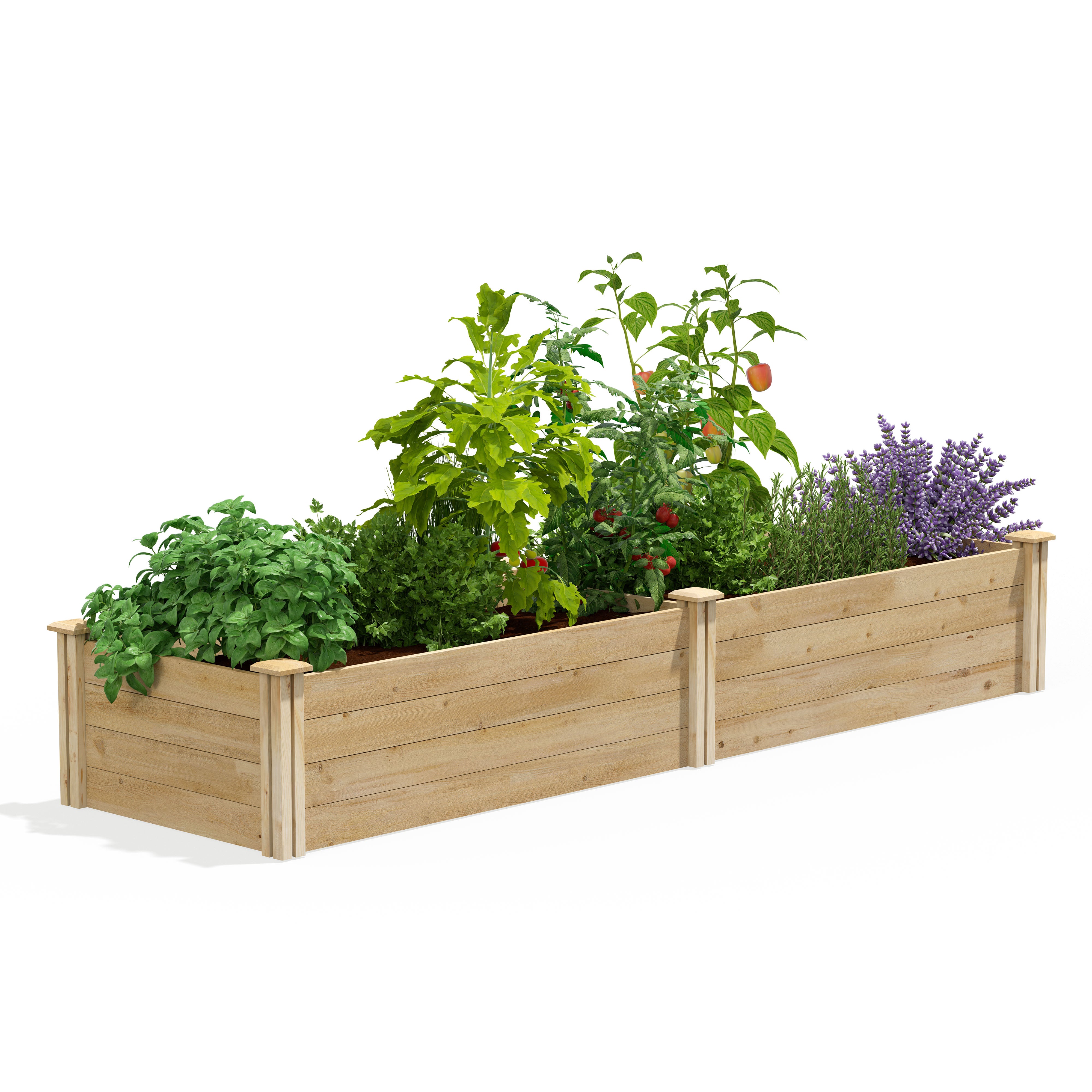 greenes-fence-premium-cedar-raised-garden-bed-2-ft-x-8-ft-x-14-in-rc249614 image 1
