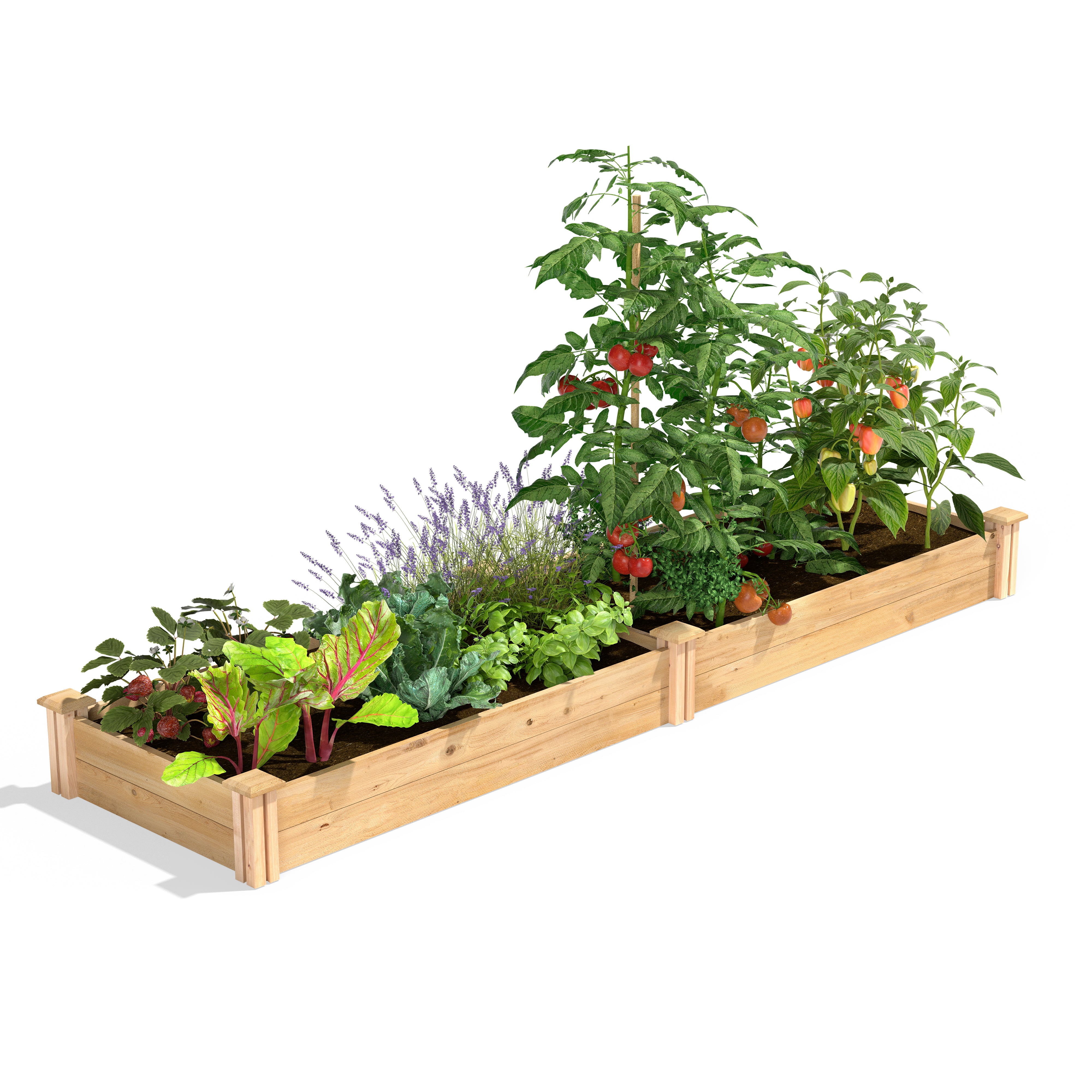 greenes-fence-premium-cedar-raised-garden-bed-2-ft-x-8-ft-x-7-in-3-4-in-thick-rc image 1