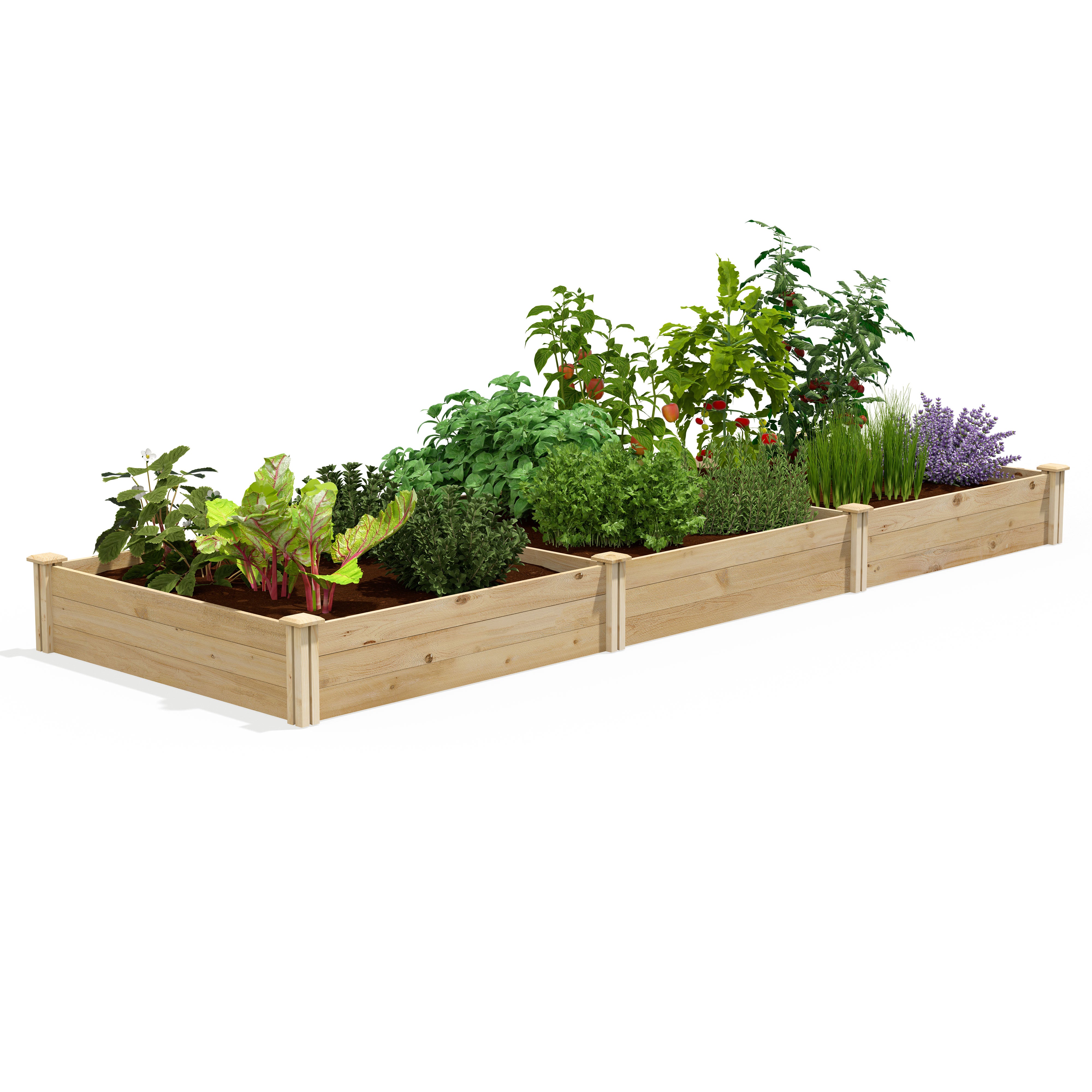greenes-fence-premium-cedar-raised-garden-bed-4-ft-x-12-ft-x-10-5-in-3-4-in-thic image 1