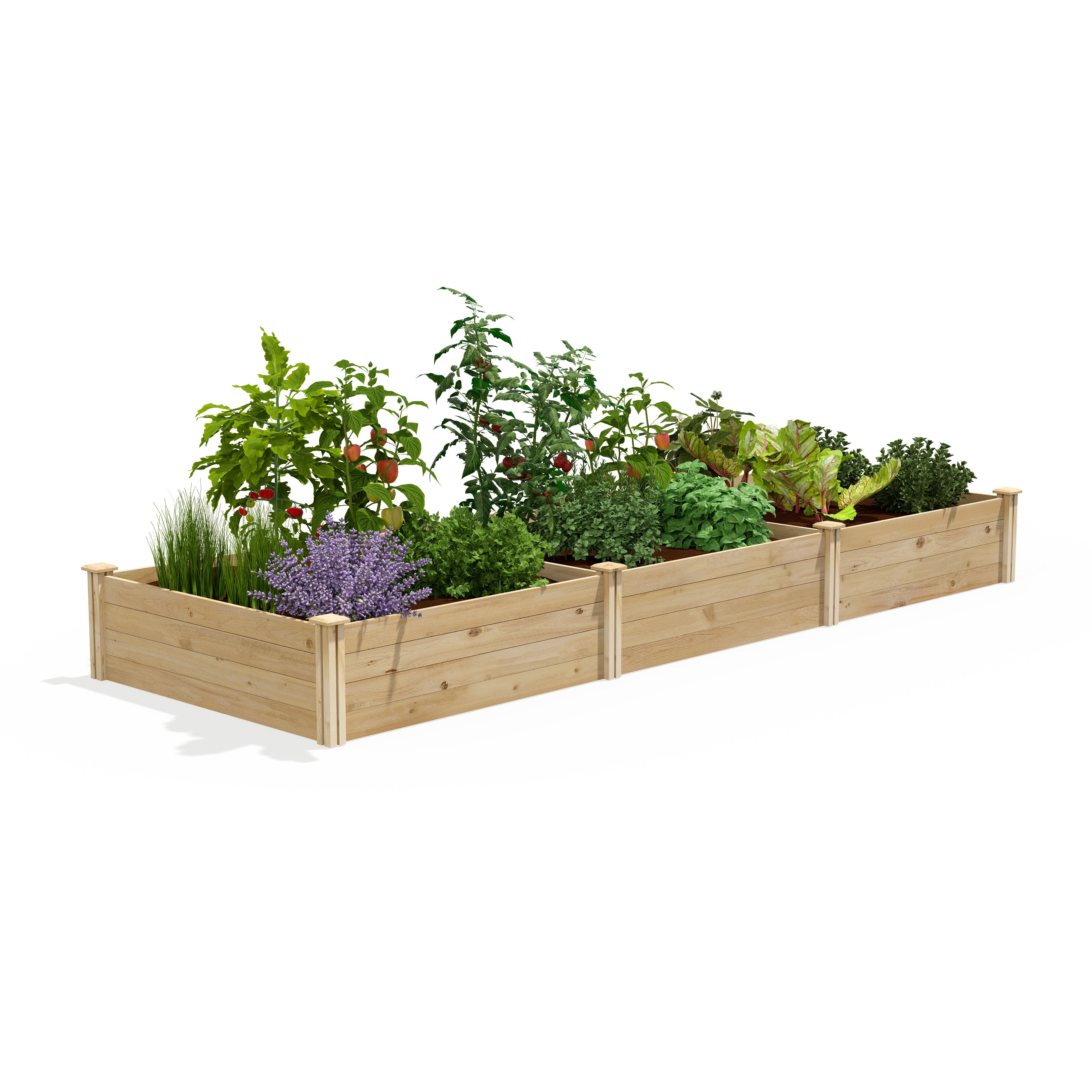 greenes-fence-premium-cedar-raised-garden-bed-4-ft-x-12-ft-x-14-in-3-4-in-thick- image 1