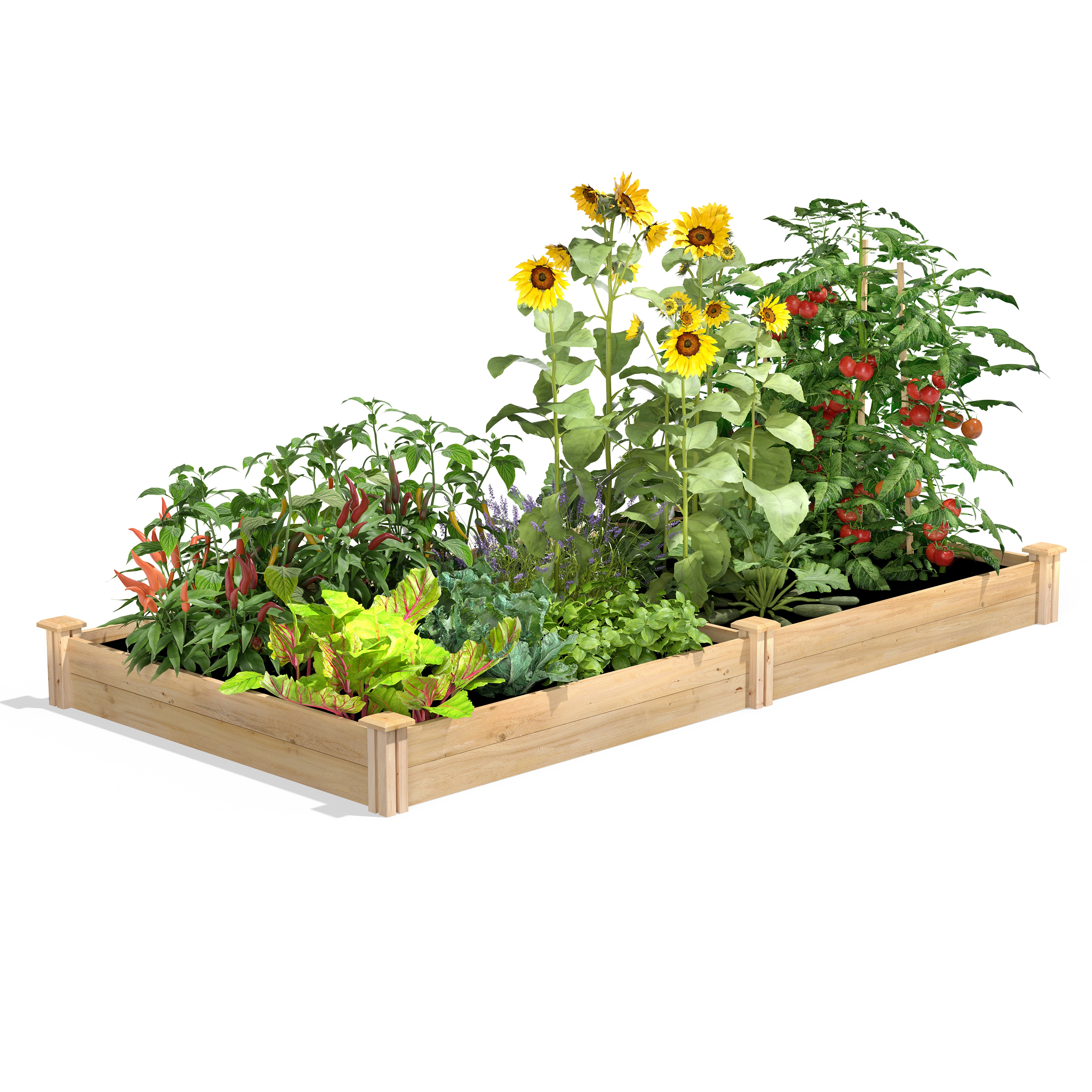 greenes-fence-premium-cedar-raised-garden-bed-4-ft-x-8-ft-x-7-in-3-4-in-thick-rc image 1