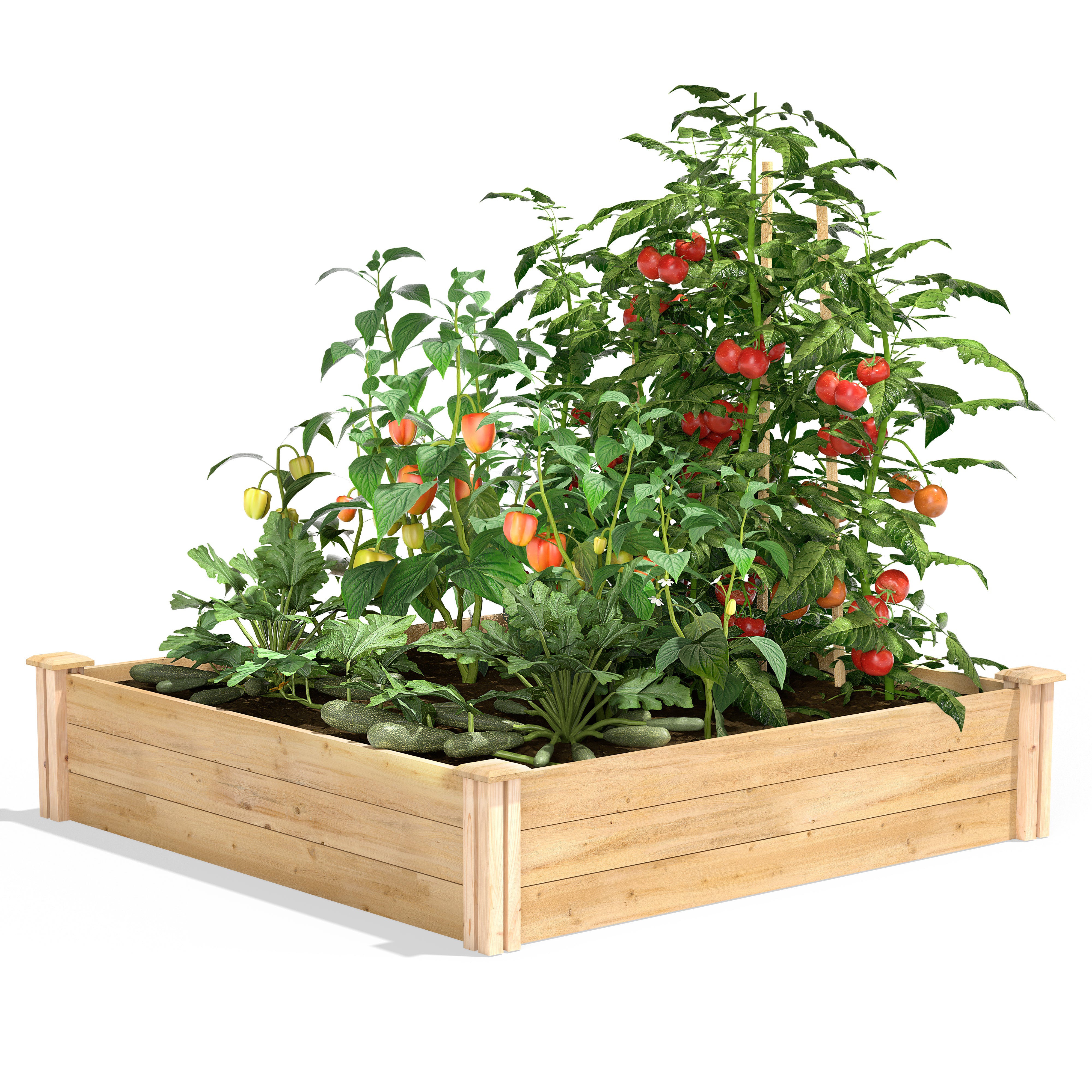 greenes-fence-premium-cedar-raised-garden-bed-4-ft-x-4-ft-x-10-5-in-rc4t12b image 1