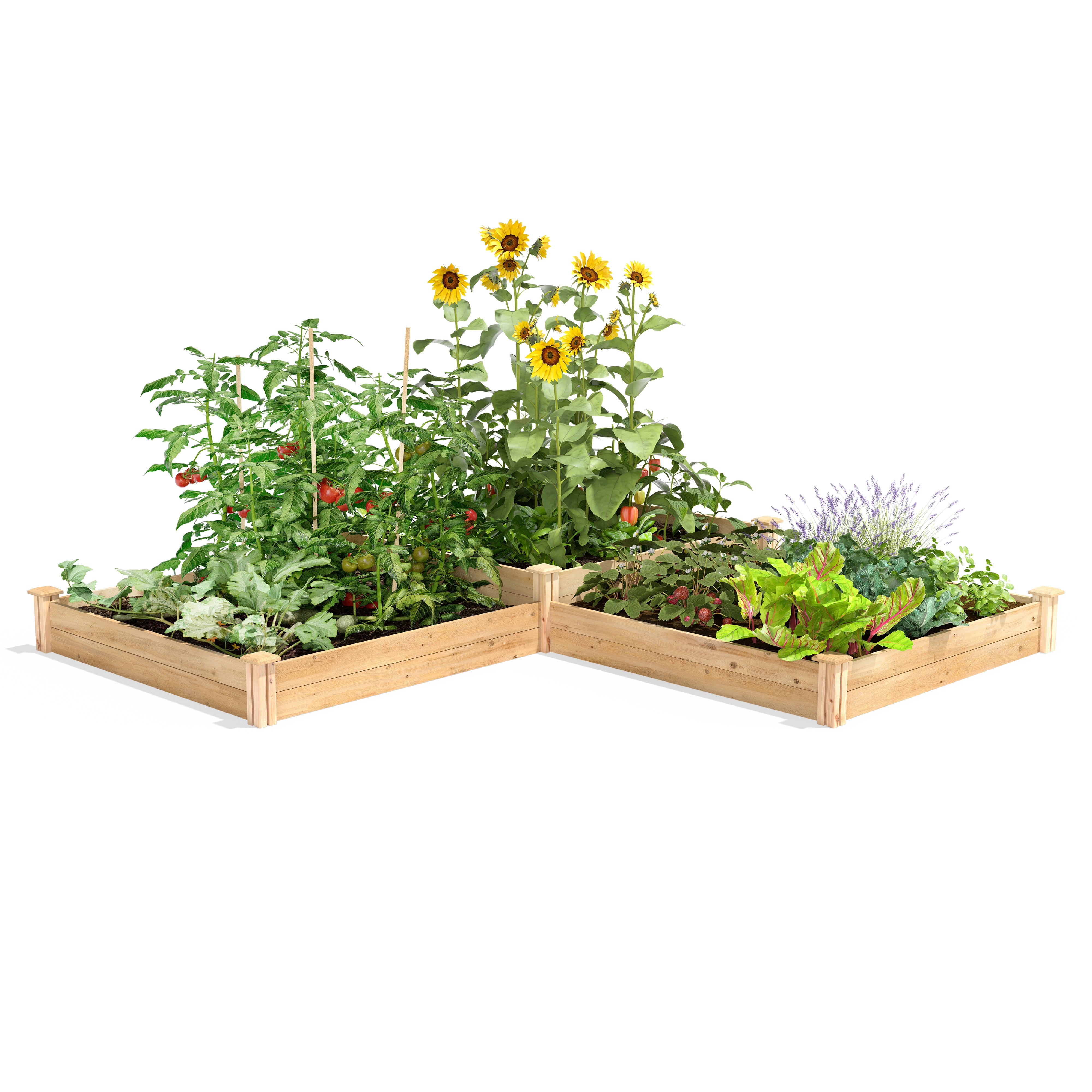 greenes-fence-premium-cedar-raised-garden-bed-2-tiered-4-ft-x-12-ft-3-4-in-thick image 1