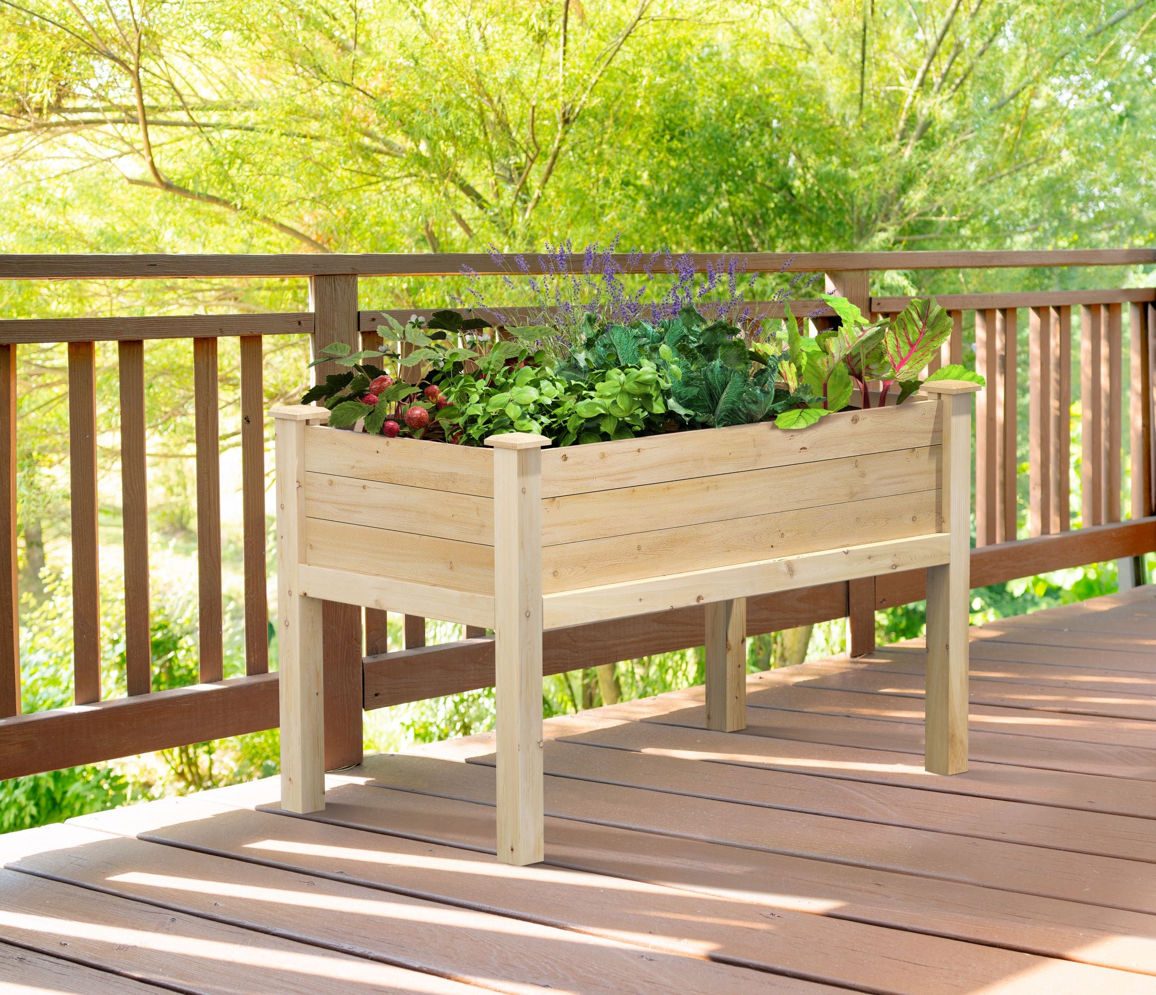 greenes-fence-premium-original-cedar-elevated-garden-bed-24-in-x-48-in-x-31-in-3 image 2