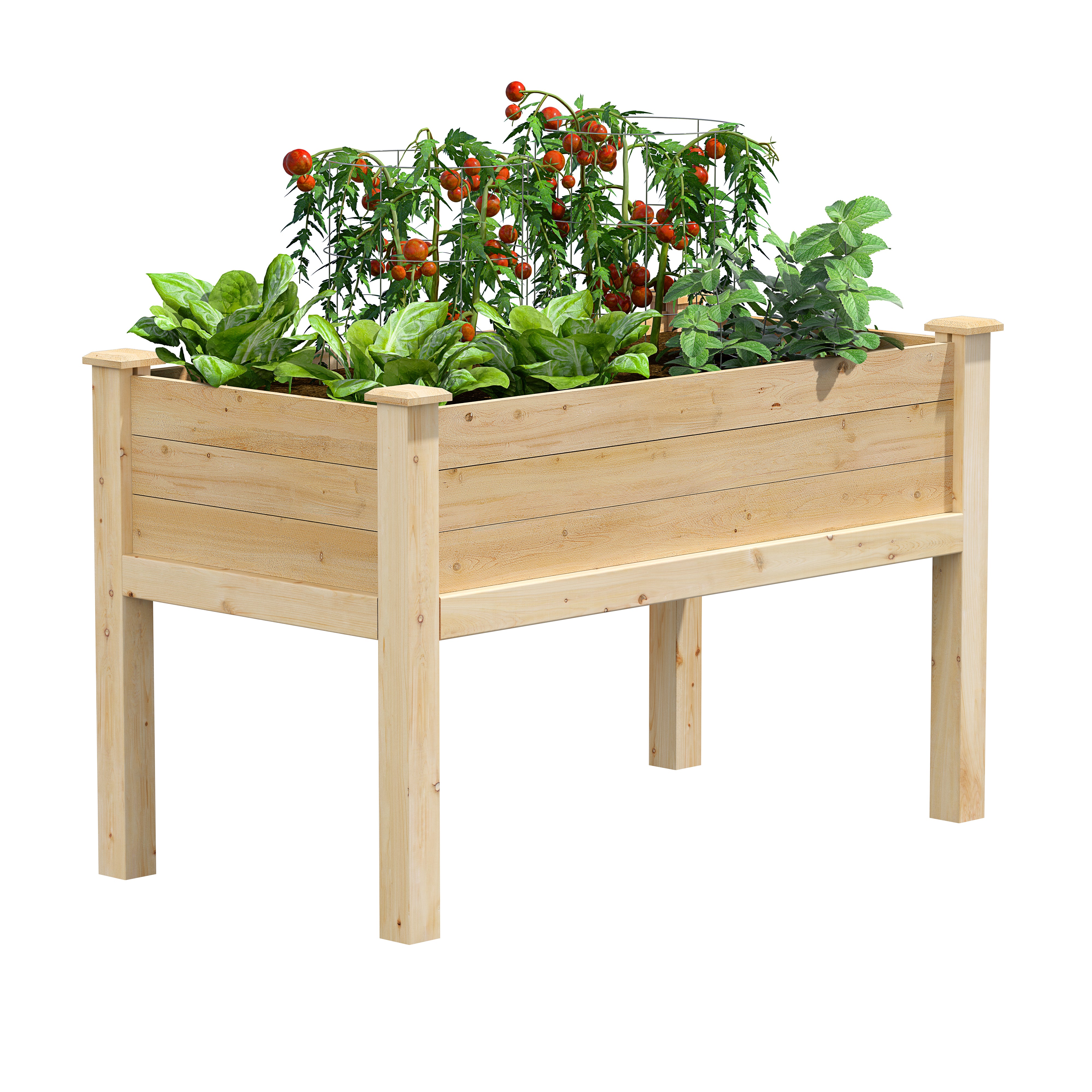 greenes-fence-premium-original-cedar-elevated-garden-bed-24-in-x-48-in-x-31-in-3 image 1