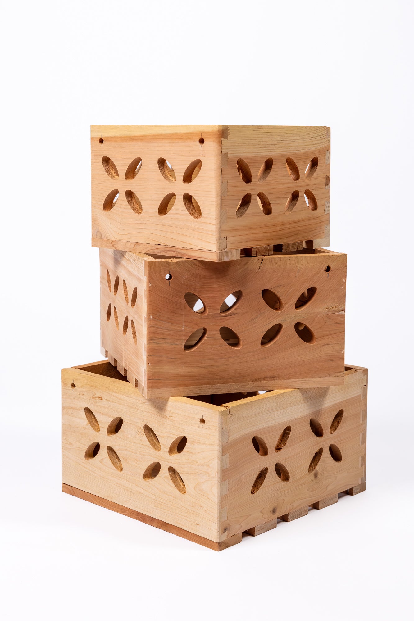 greenes-fence-aromatic-cedar-orchid-display-box-set-with-floral-cutouts-3-assort image 3