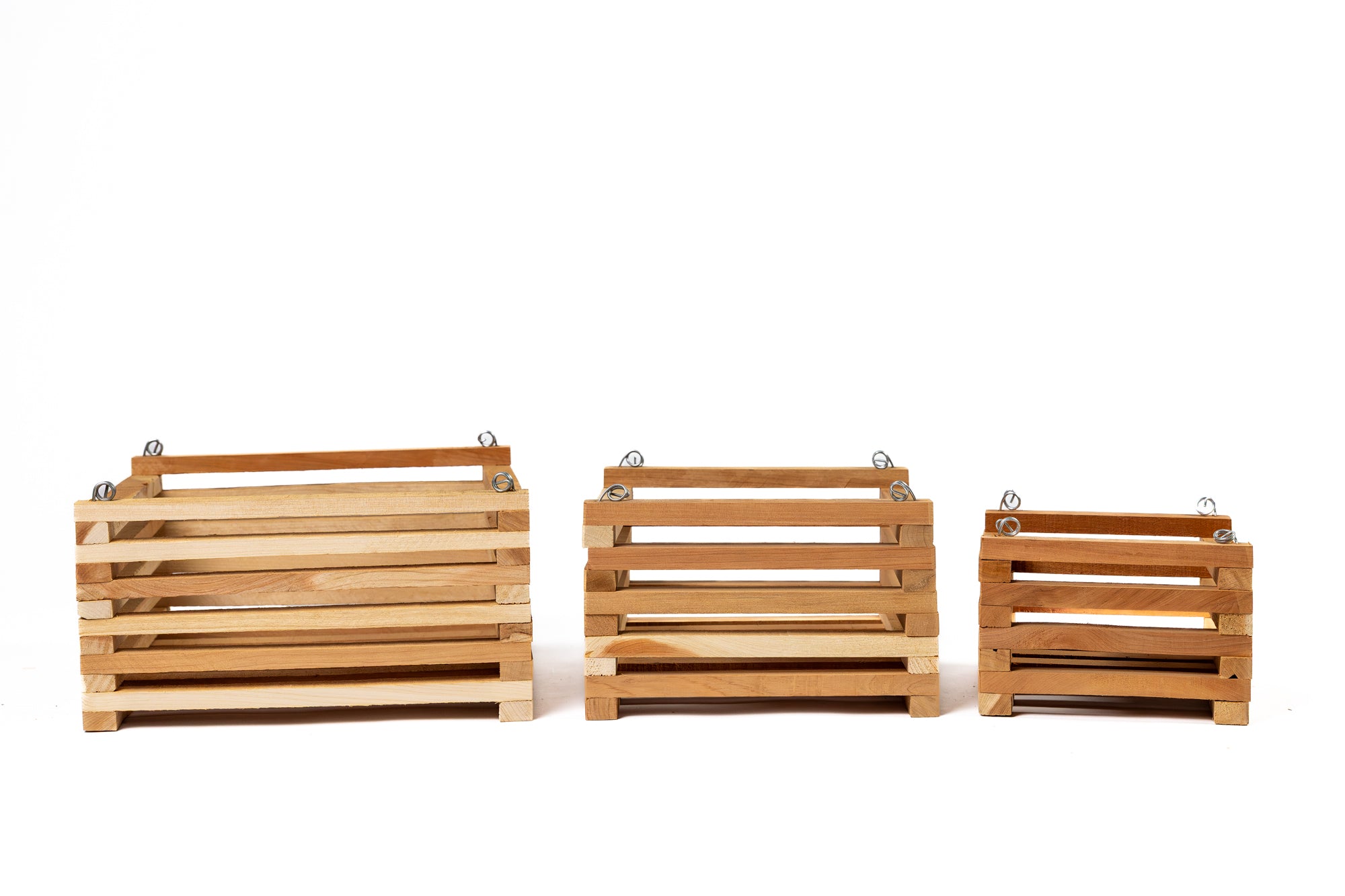 greenes-fence-aromatic-cedar-botanical-display-tray-set-3-pack image 2