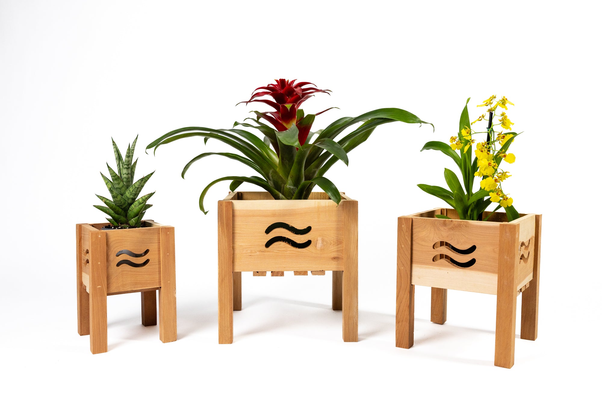 greenes-fence-aromatic-cedar-botanical-display-planter-set-with-wave-cutouts-rcp image 1