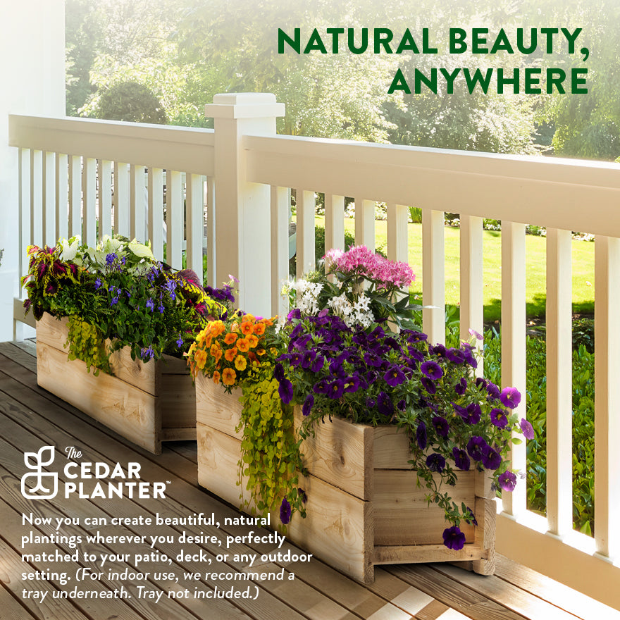 greenes-fence-cedar-wood-planter-box image 2