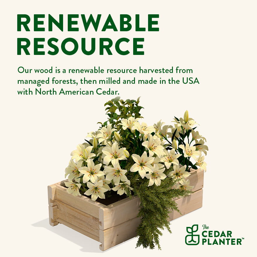 greenes-fence-cedar-wood-planter-box image 3