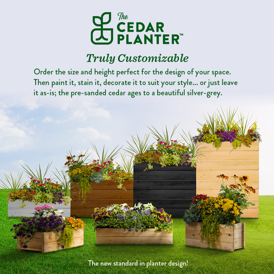 greenes-fence-cedar-wood-planter-box image 7