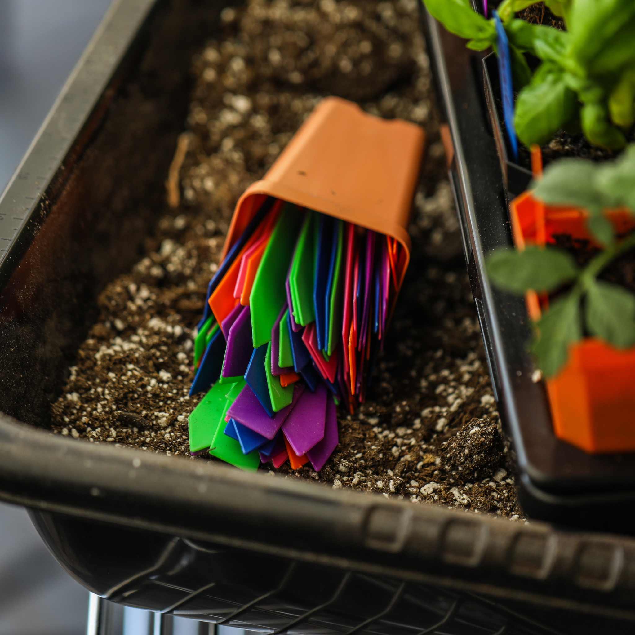 bootstrap-farmer-multi-color-plant-labels-100-count-4-inch-durable-garden-marker image 6