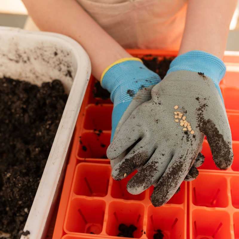 bootstrap-farmer-classroom-seed-starting-bundle-complete-school-garden-kit image 3
