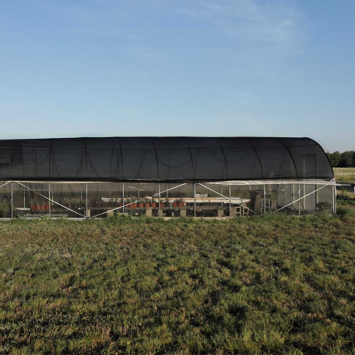 bootstrap-farmer-greenhouse-shade-cloth-50-black-multiple-sizes image 5