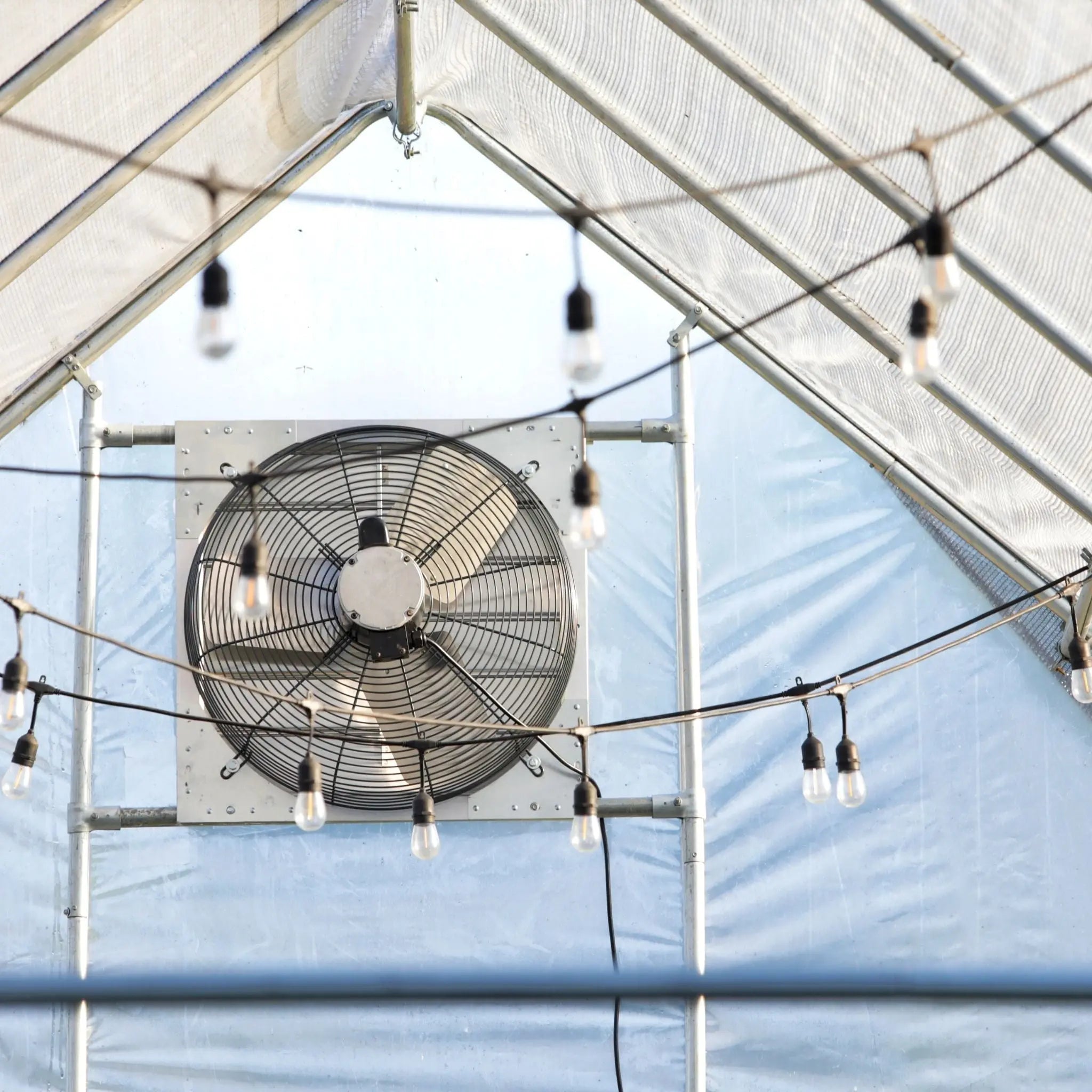 bootstrap-farmer-greenhouse-shutter-mount-exhaust-fan-12-24-36-sizes image 4