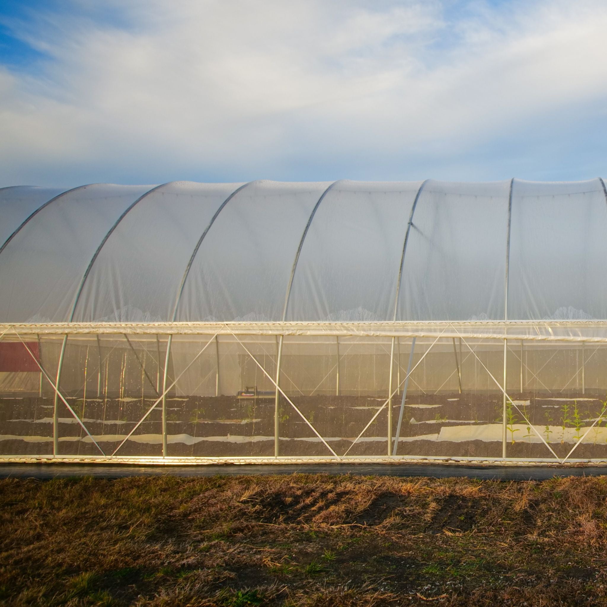 bootstrap-farmer-diy-greenhouse-roll-up-side-curtain-kit image 5