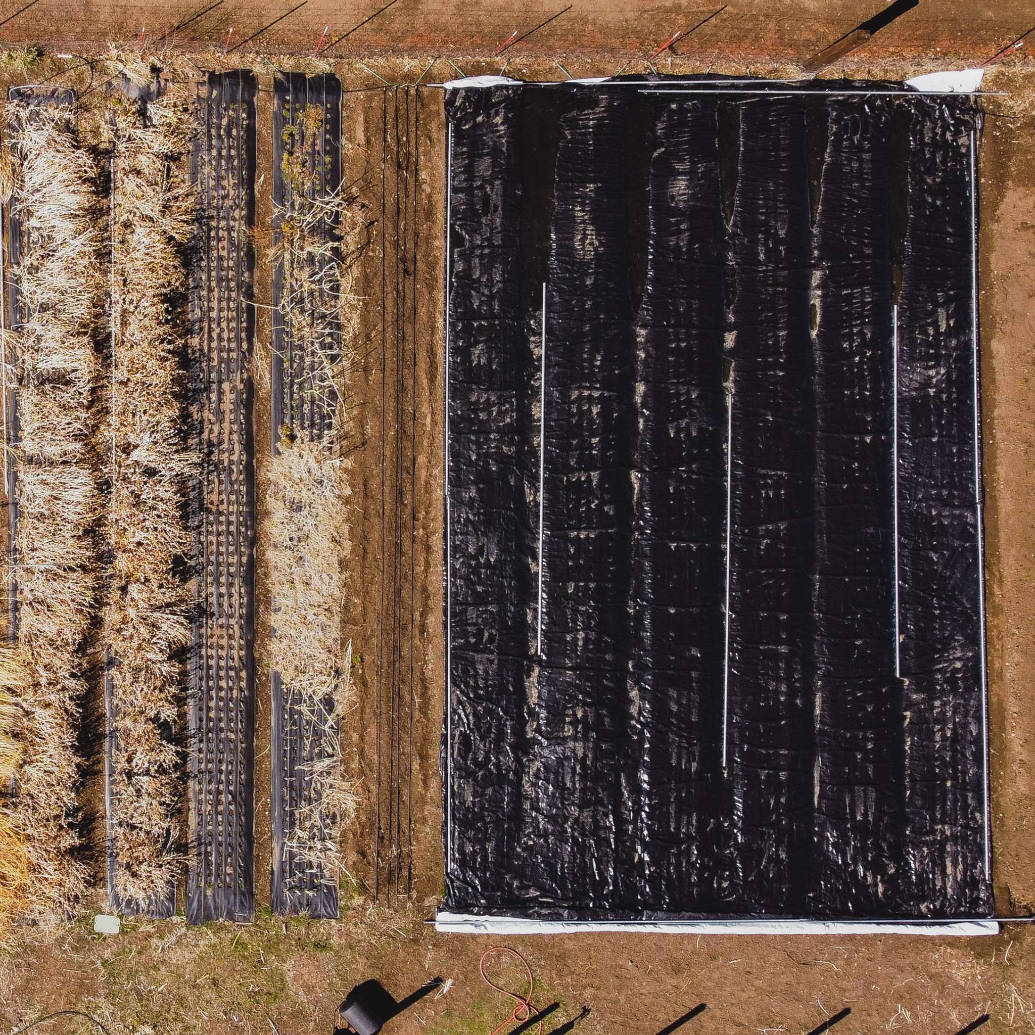 bootstrap-farmer-6-mil-reversible-black-white-silage-tarp-remnant-uv-resistant image 5